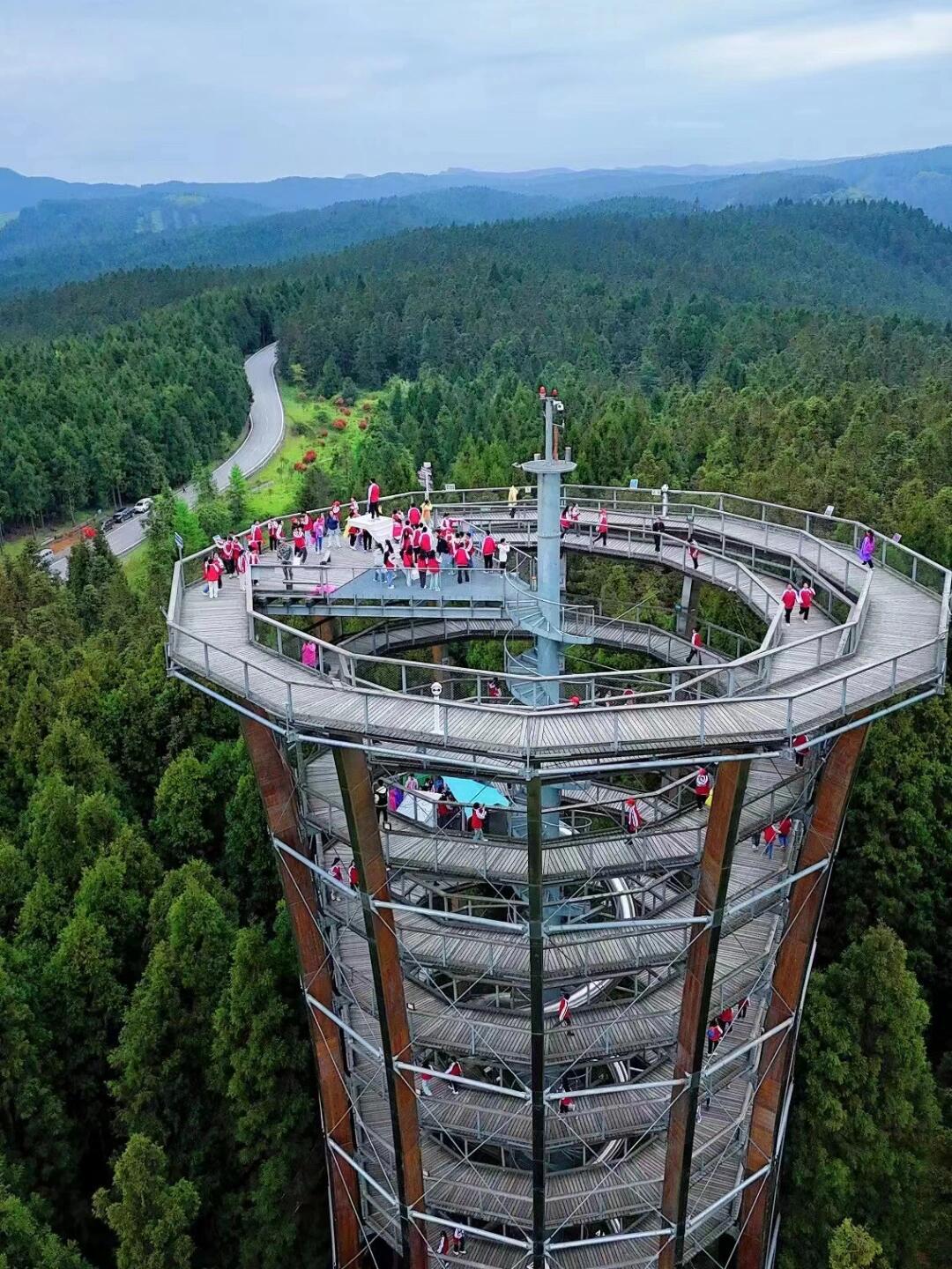 🔥重庆中央公园,仙女山🏞️一日游🚴🏻