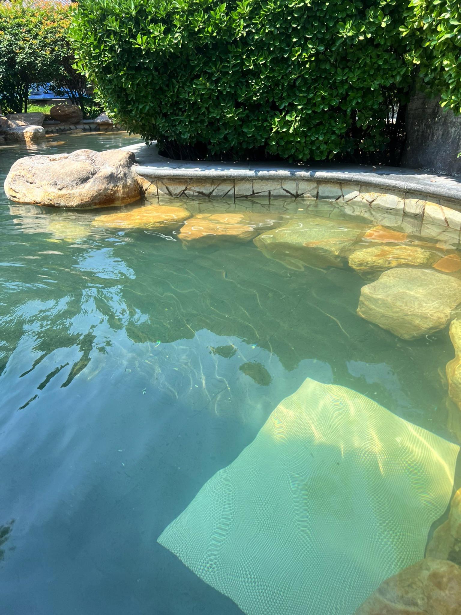 直接抄作业❗临沂一日游