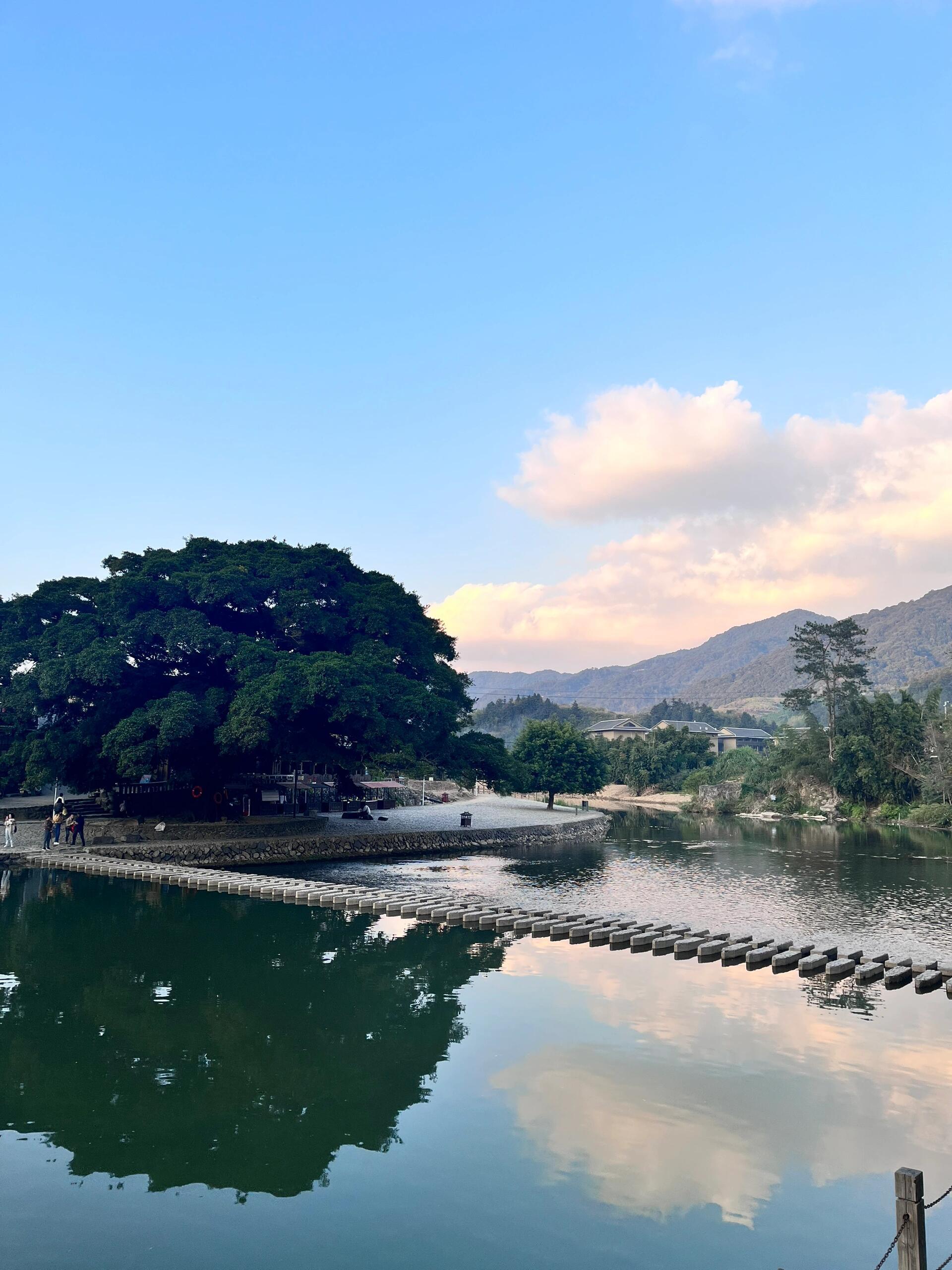 🔥漳州水仙花海,福建土楼🏞️一日游👣