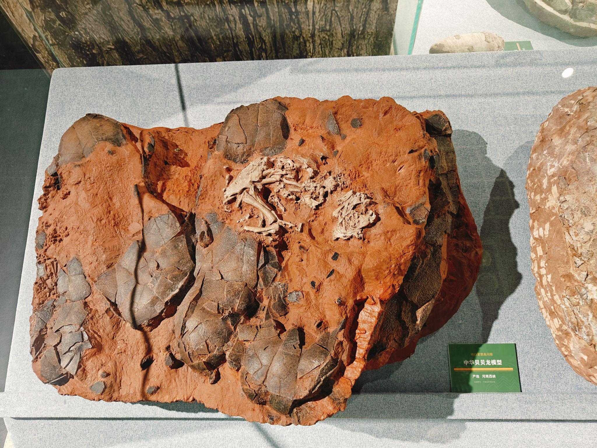 ✅北京一日游🎡,千万不能错过这篇