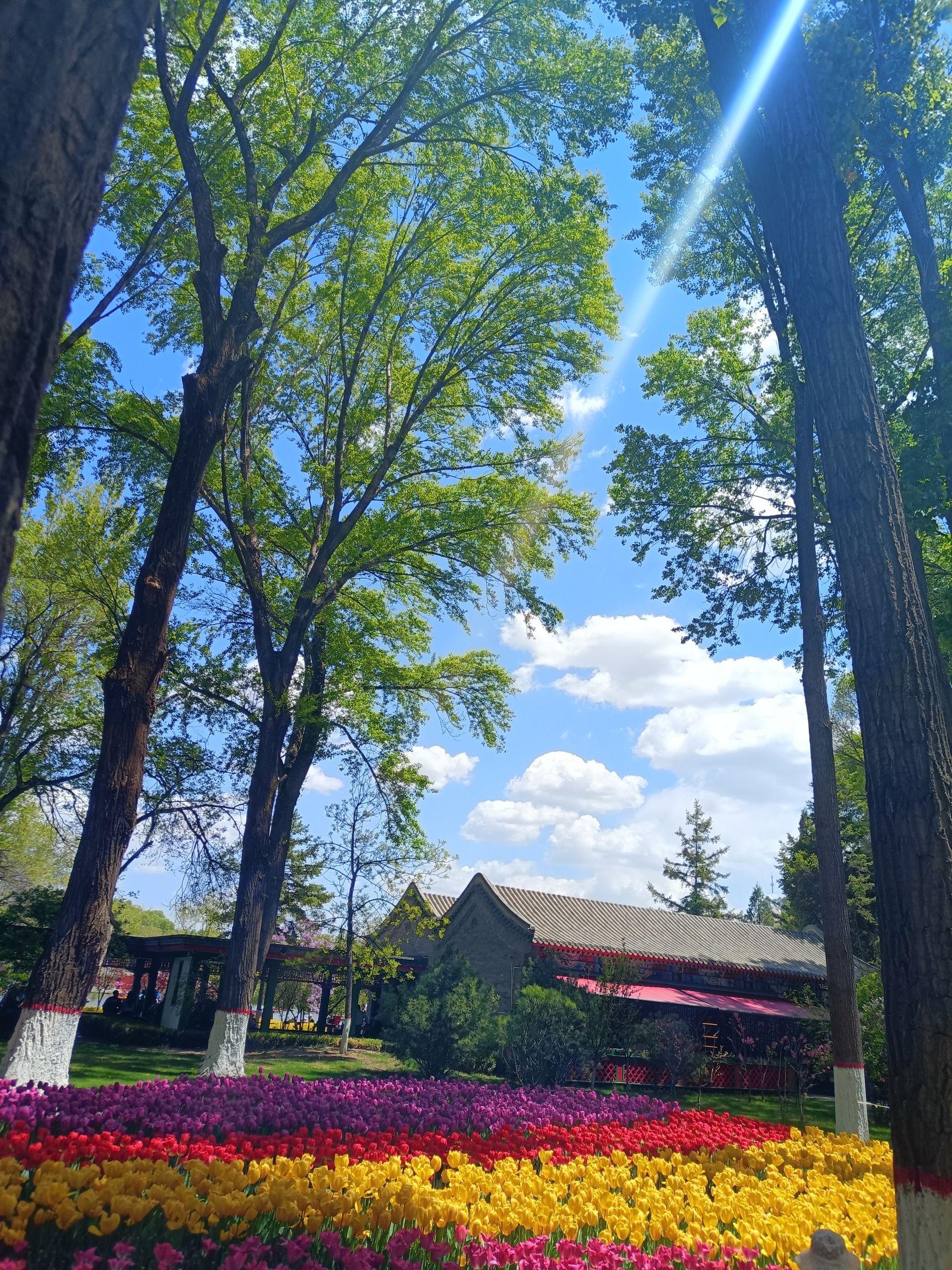 西宁的几个主要景点,适合一天游览,青海省科学技术馆,人民公园和鲁青
