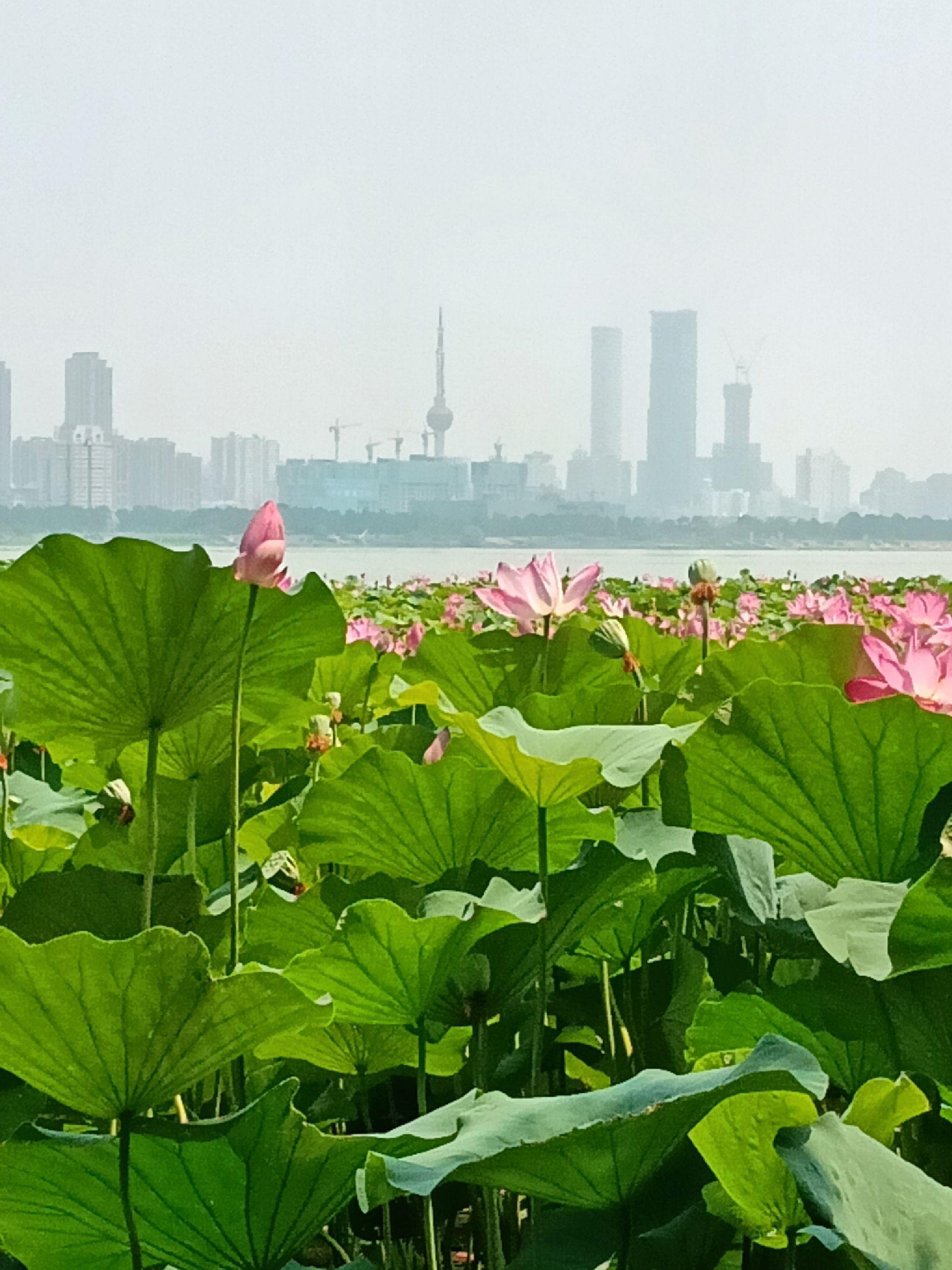 云龙湖风景区景点介绍图片