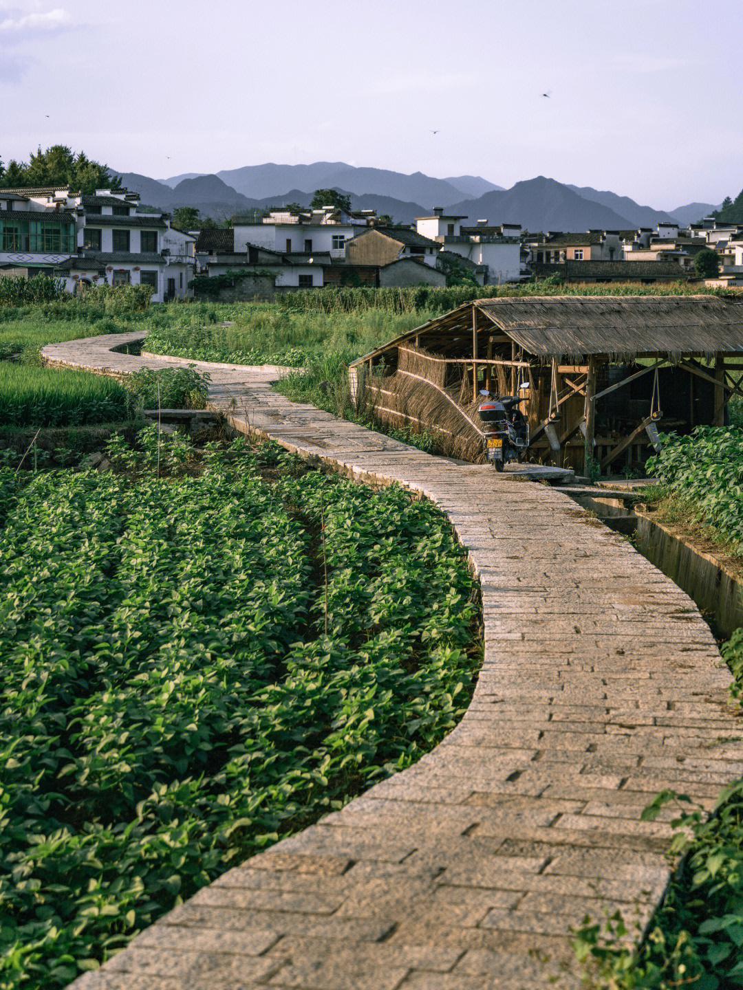 东汉黎阳县图片