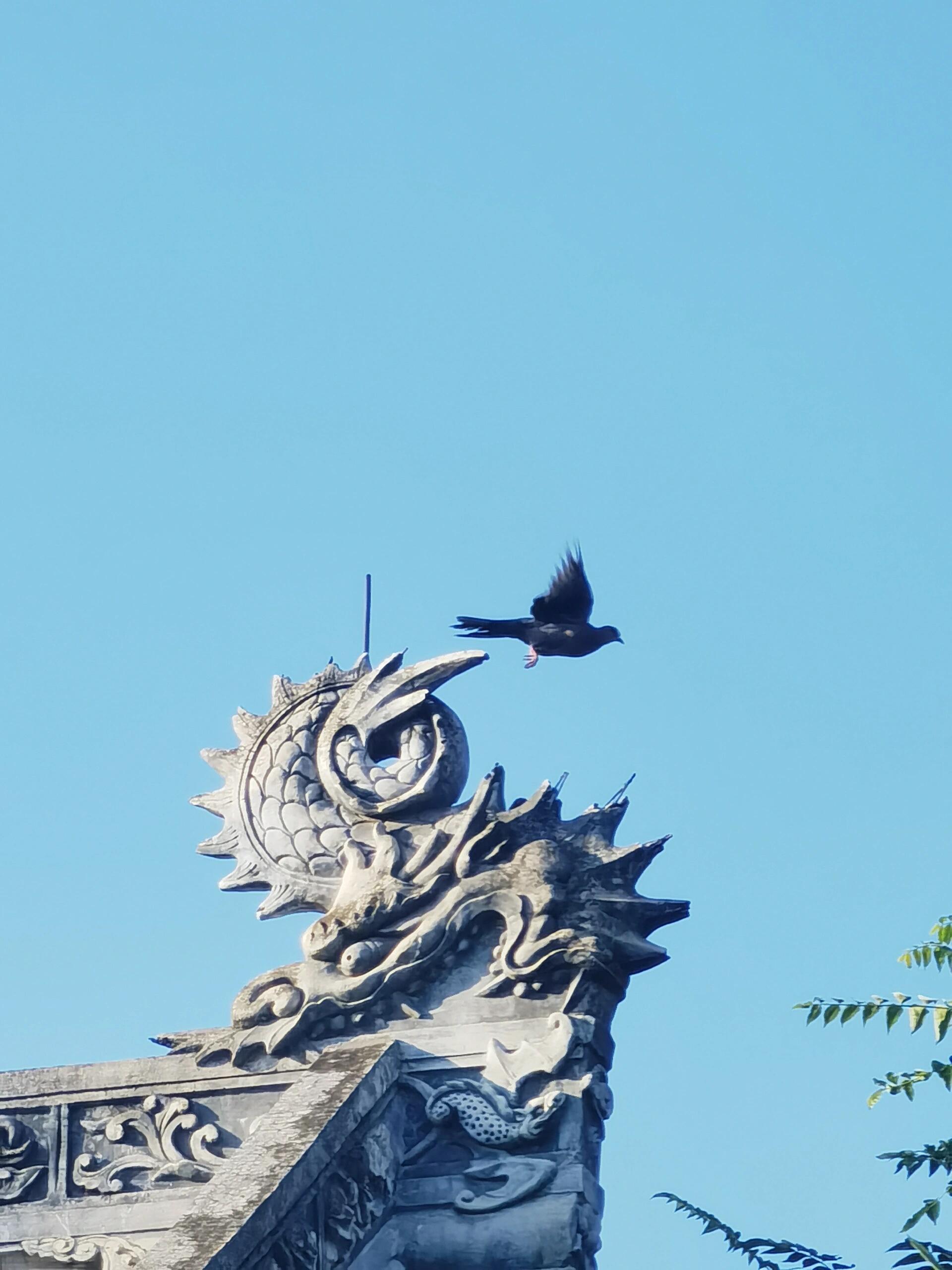 成都市区景点一日游图片