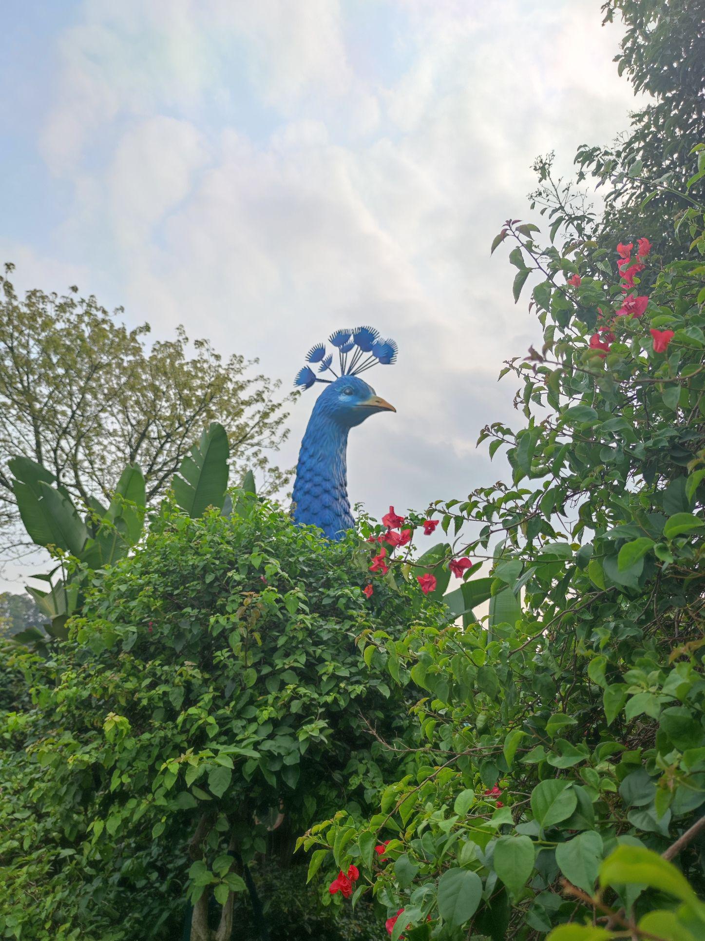 东莞植物园一日游图片