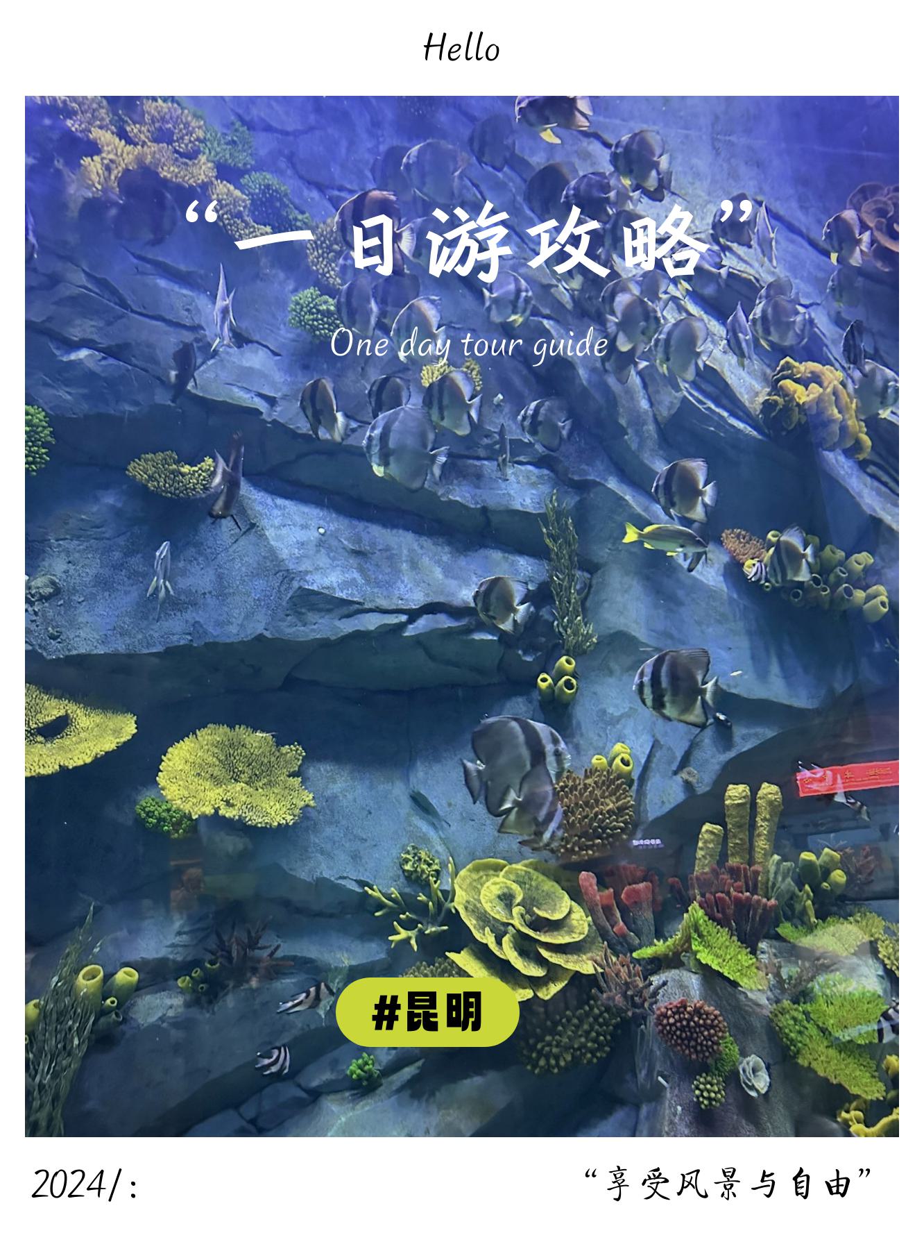 昆明融创海世界简介图片