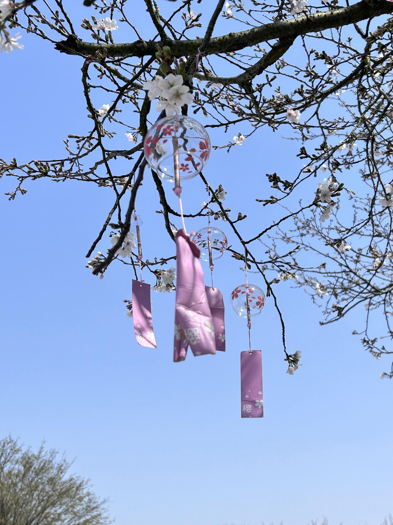 凤凰沟一日游图片