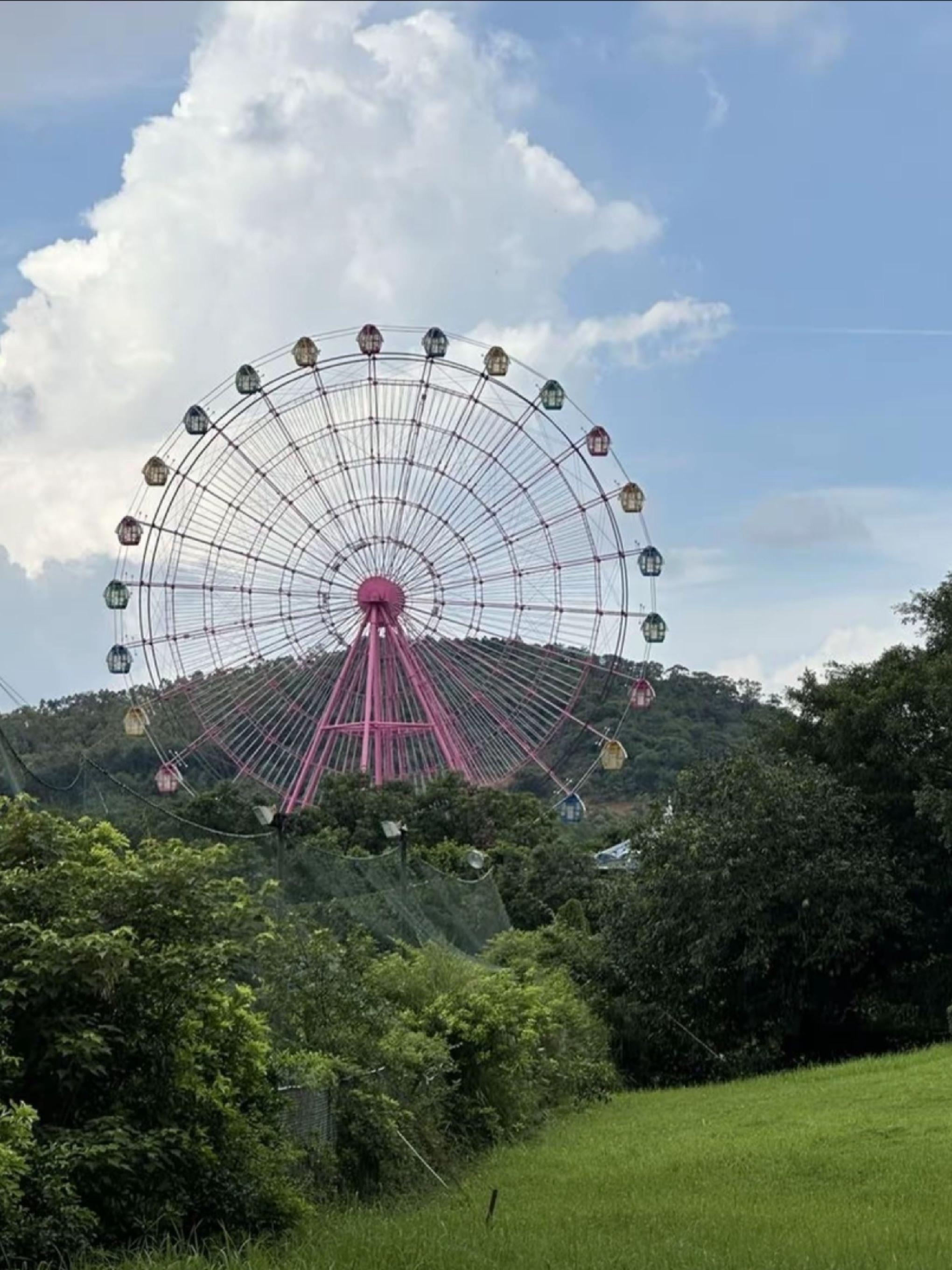 江门好玩的免费景点图片