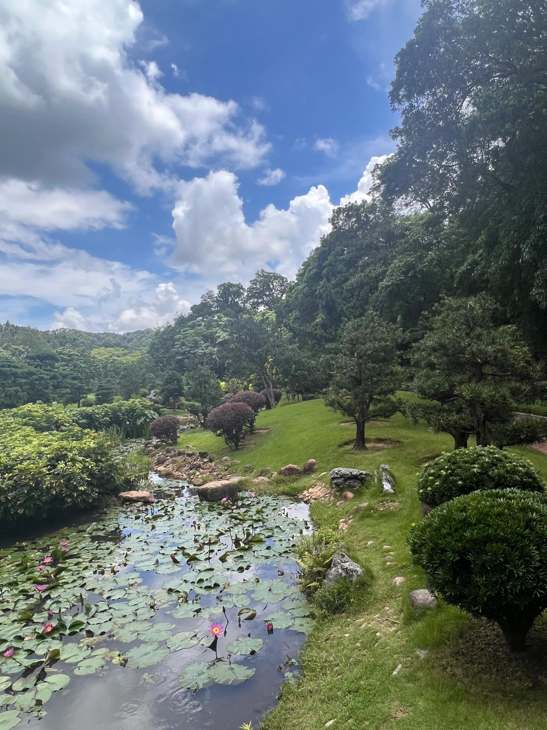 🔥黄贝岭牌坊,深圳仙湖植物园🏞️一日游👣