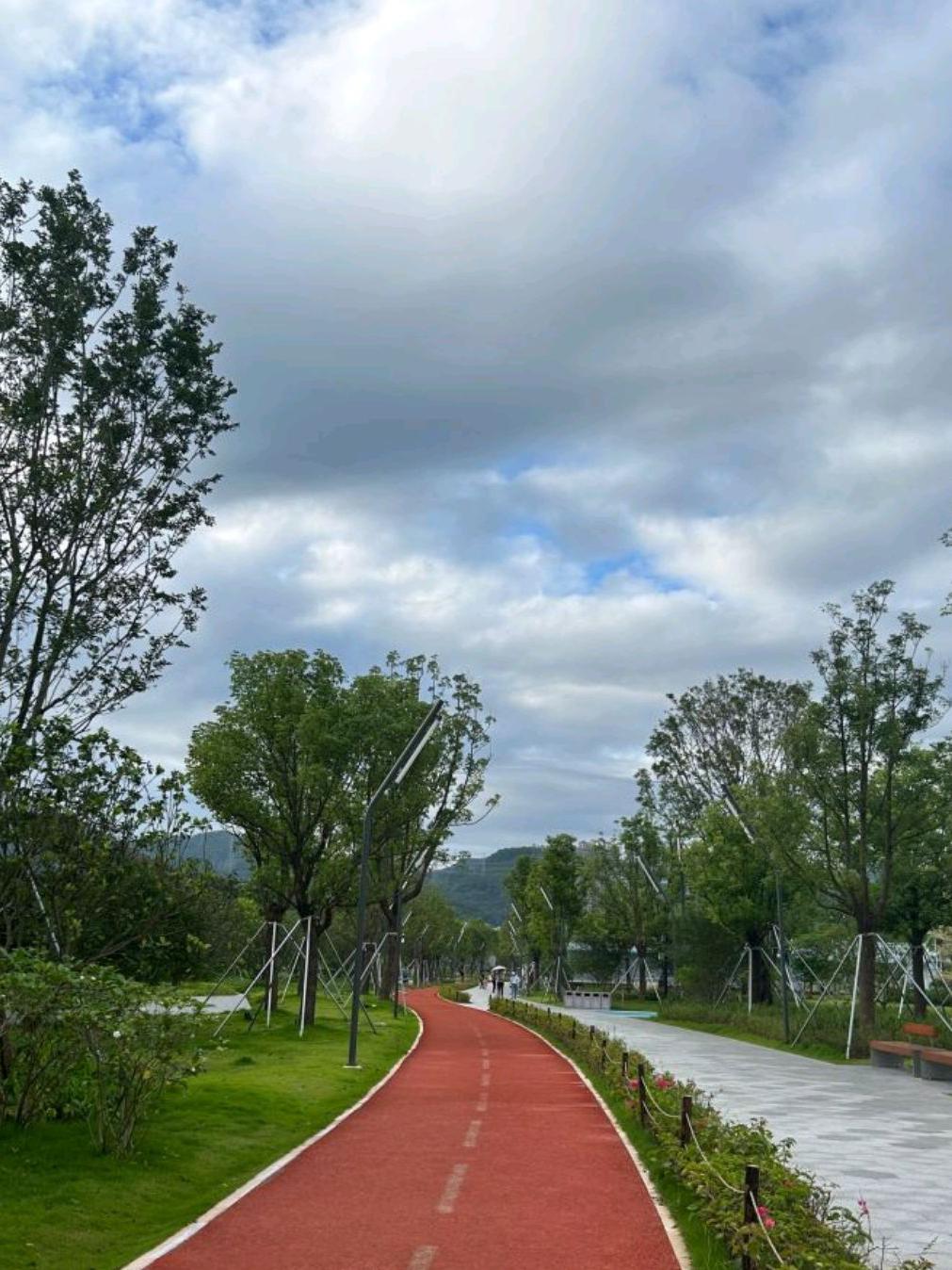 深圳老人游玩景点推荐(深圳适合老人去的旅游景点)