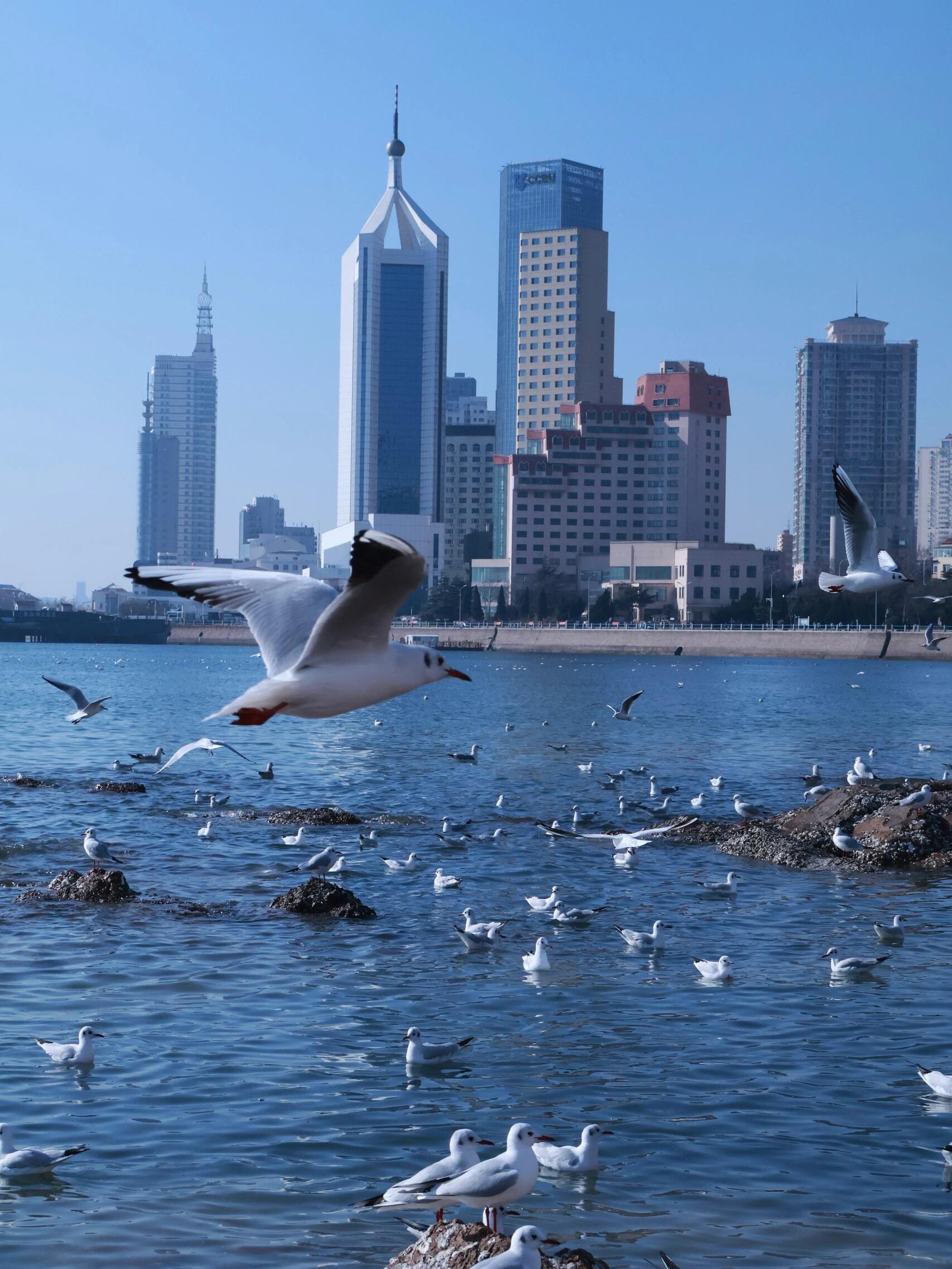 青岛一日游(懒人版)畅游海滨风情