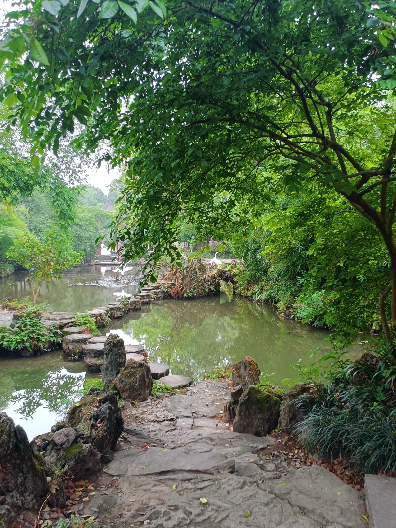 🔥宜宾流杯池公园,大观楼🏞️一日游👣