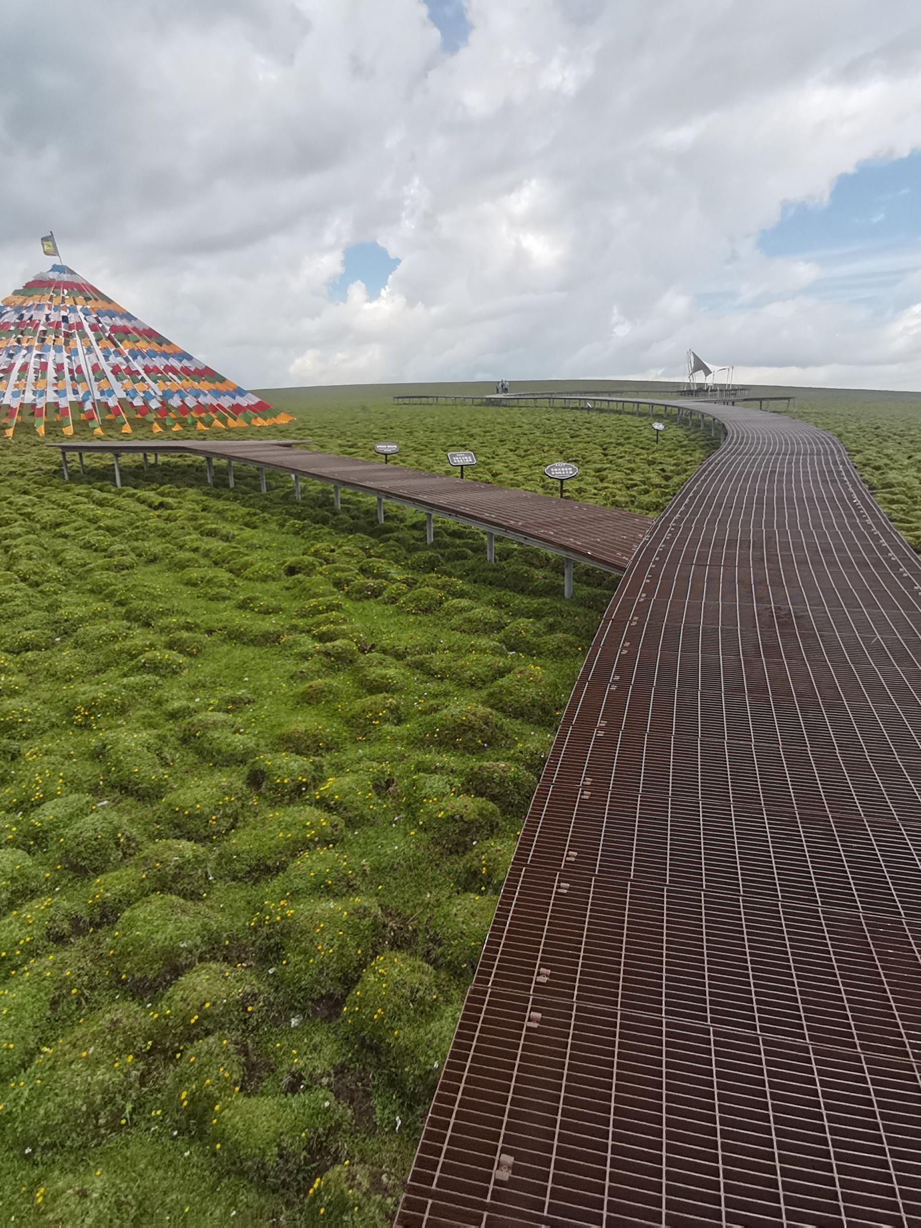 美仁大草原桑科湿地拉卜楞寺一日游🌄🌿