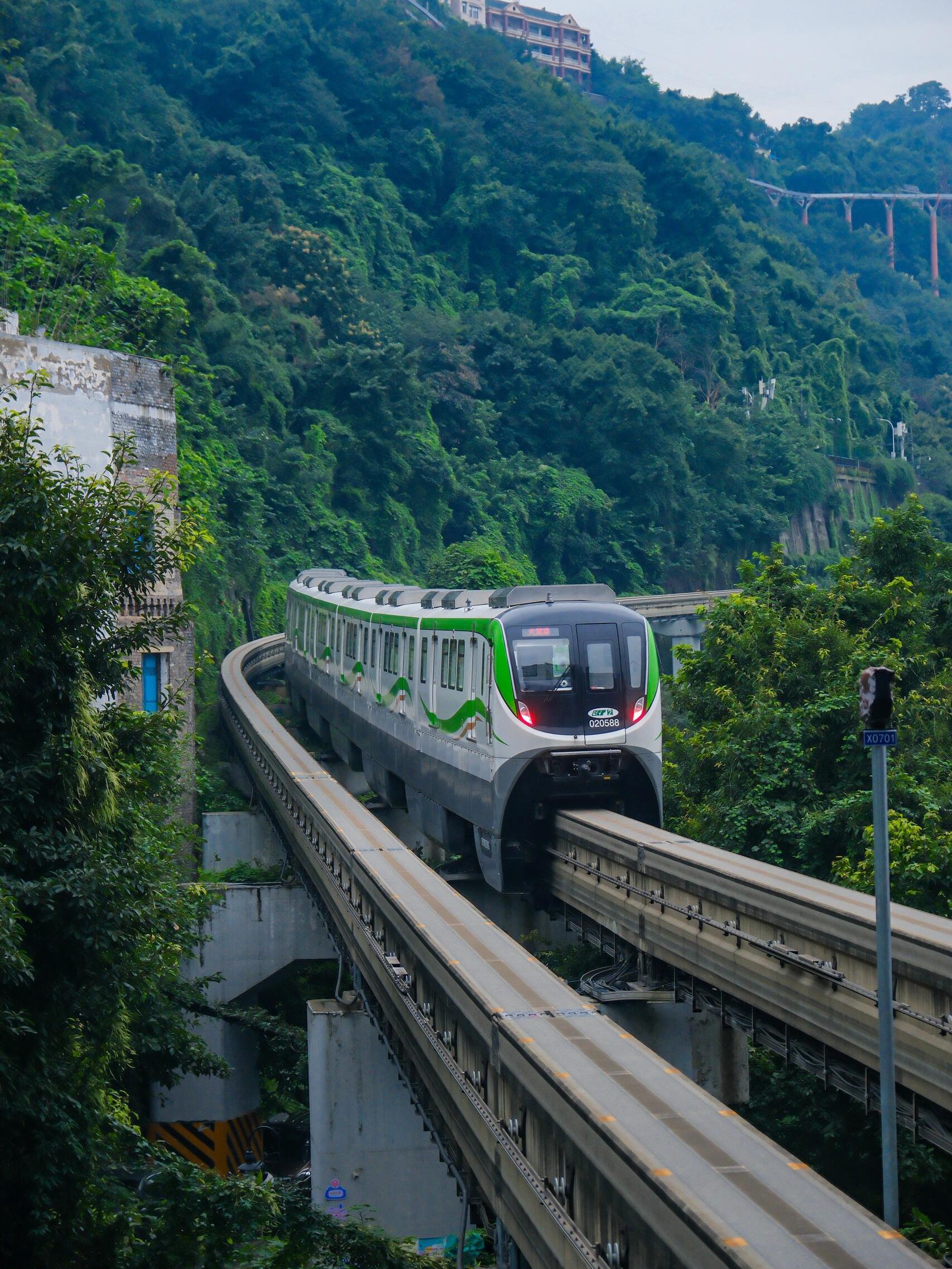 🔥重庆欢乐海底世界,李子坝单轨,鹅岭公园🏞️一日游👣