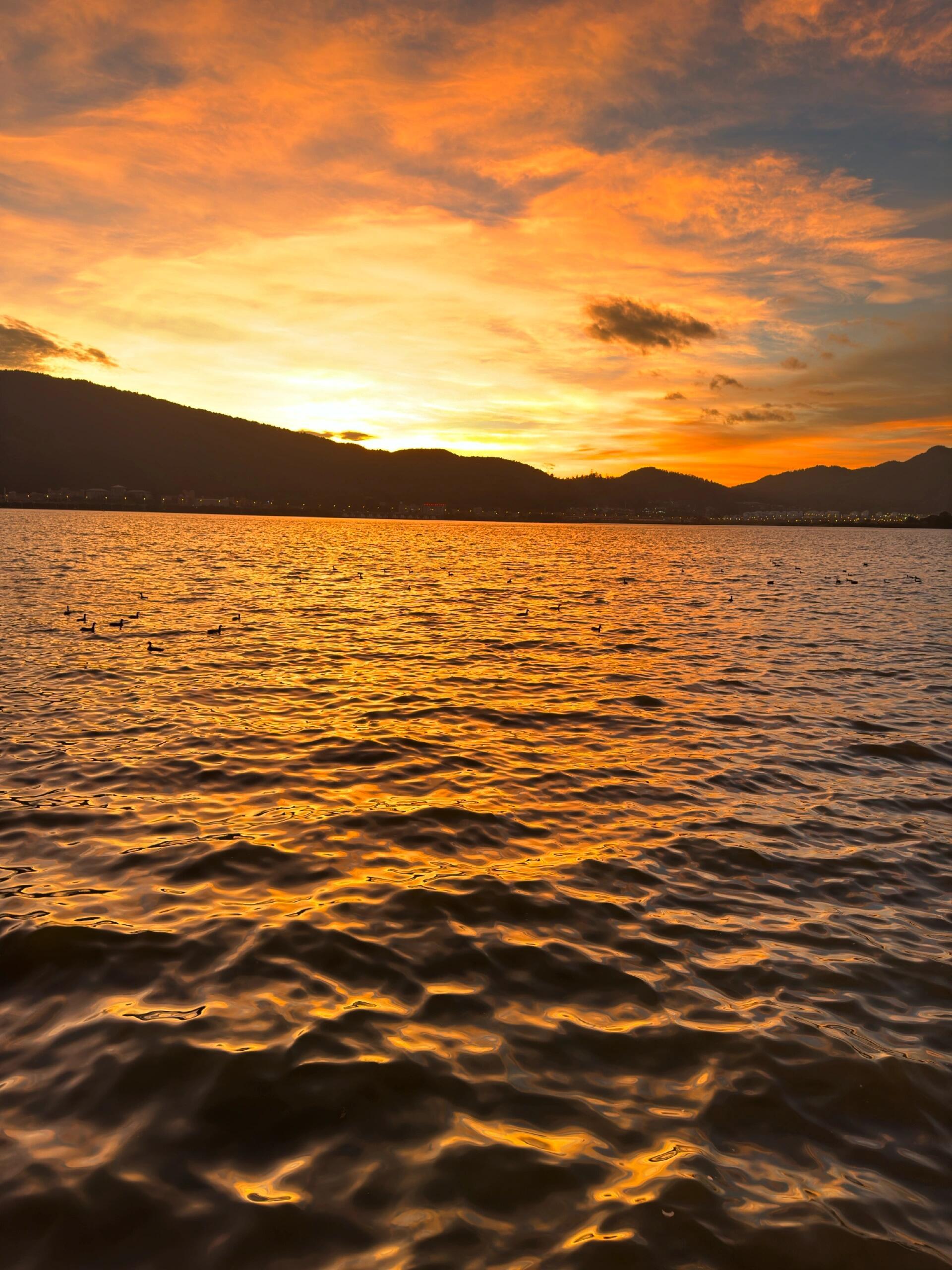 昆明1日游|打卡海埂大坝 七彩云南古滇名城,尽享美好时光!