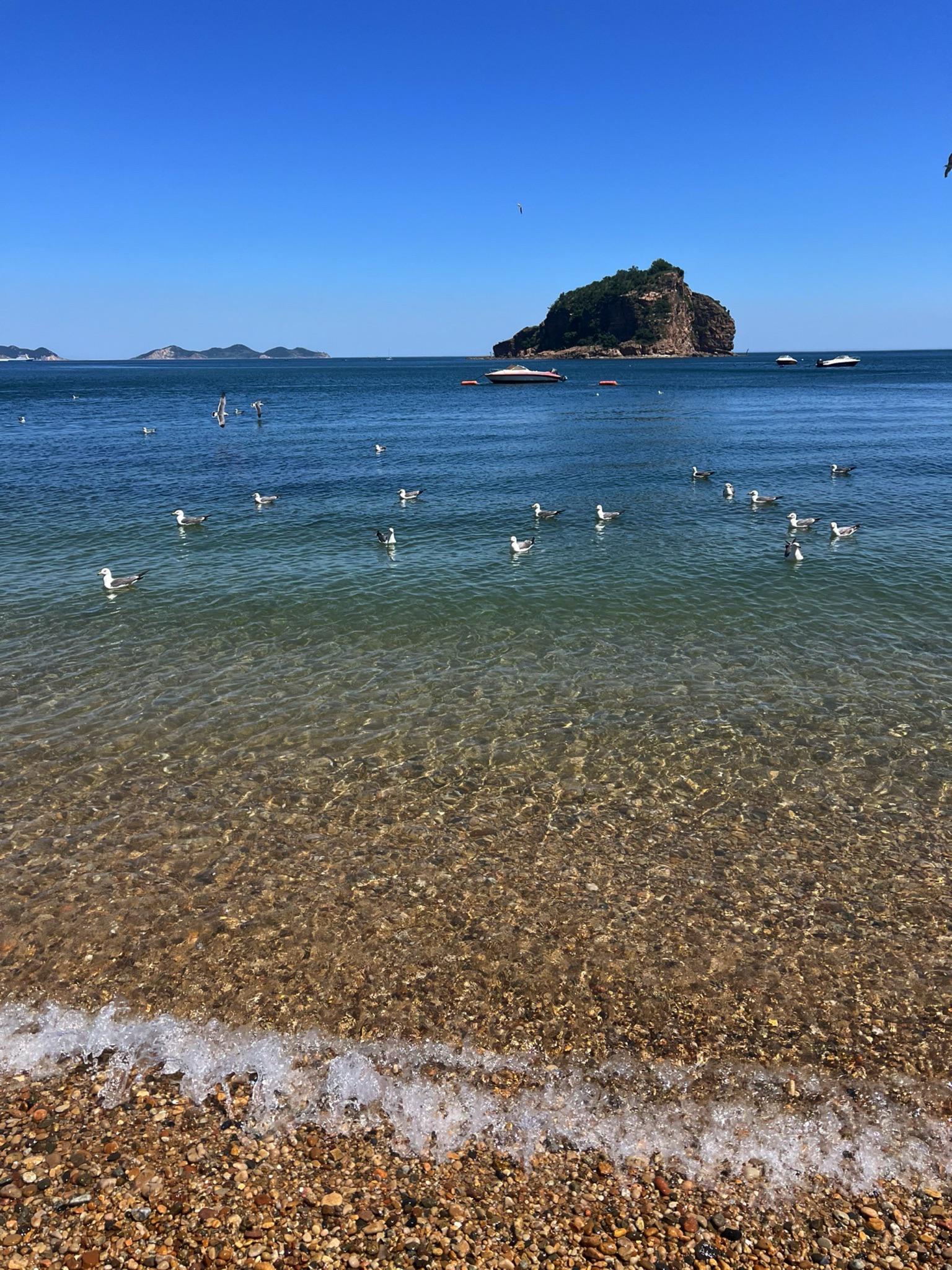 星海湾大桥步行路线图图片