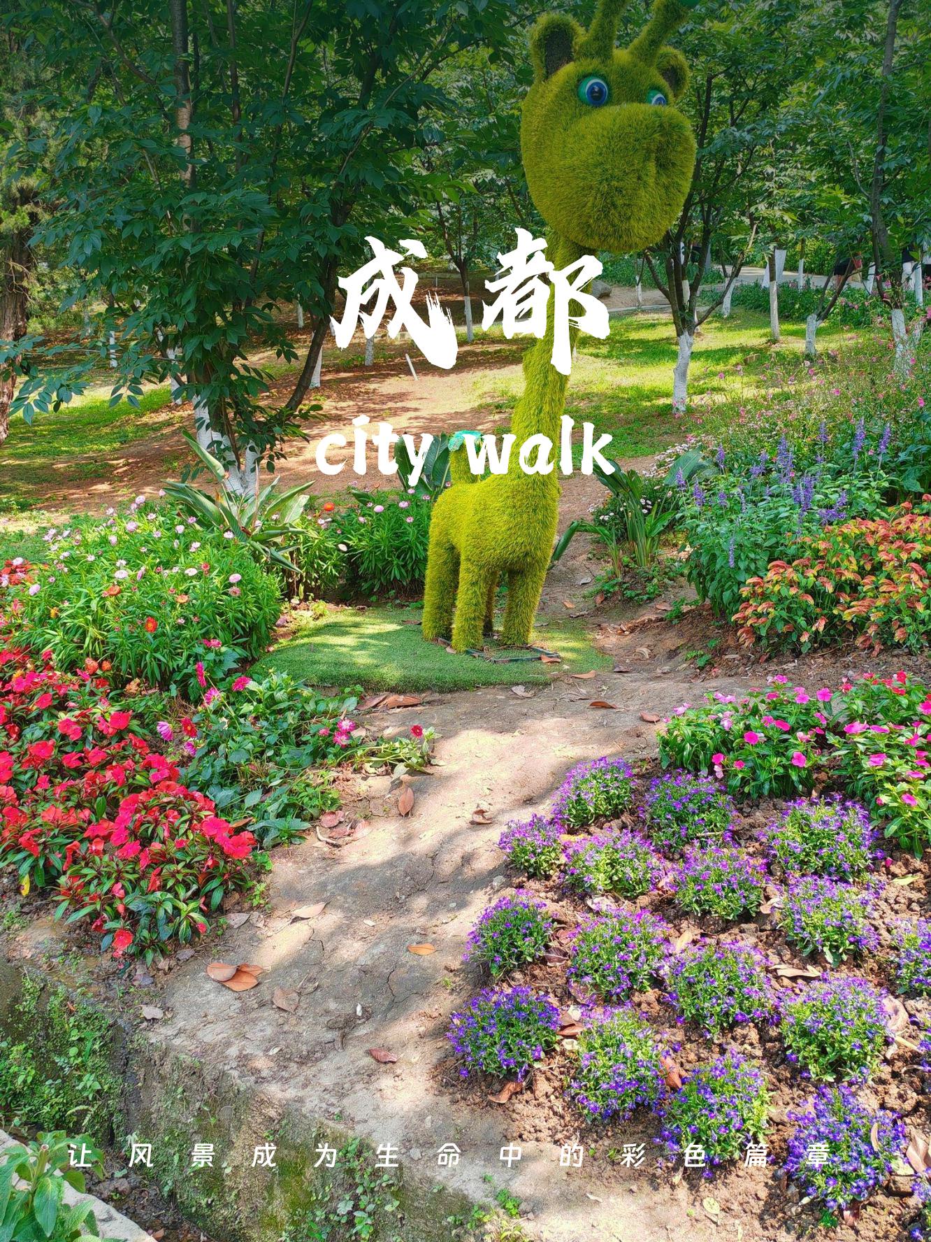 成都郊区一日游最佳景点 大概早上到达成都植物园,逛了4个小时,接着就