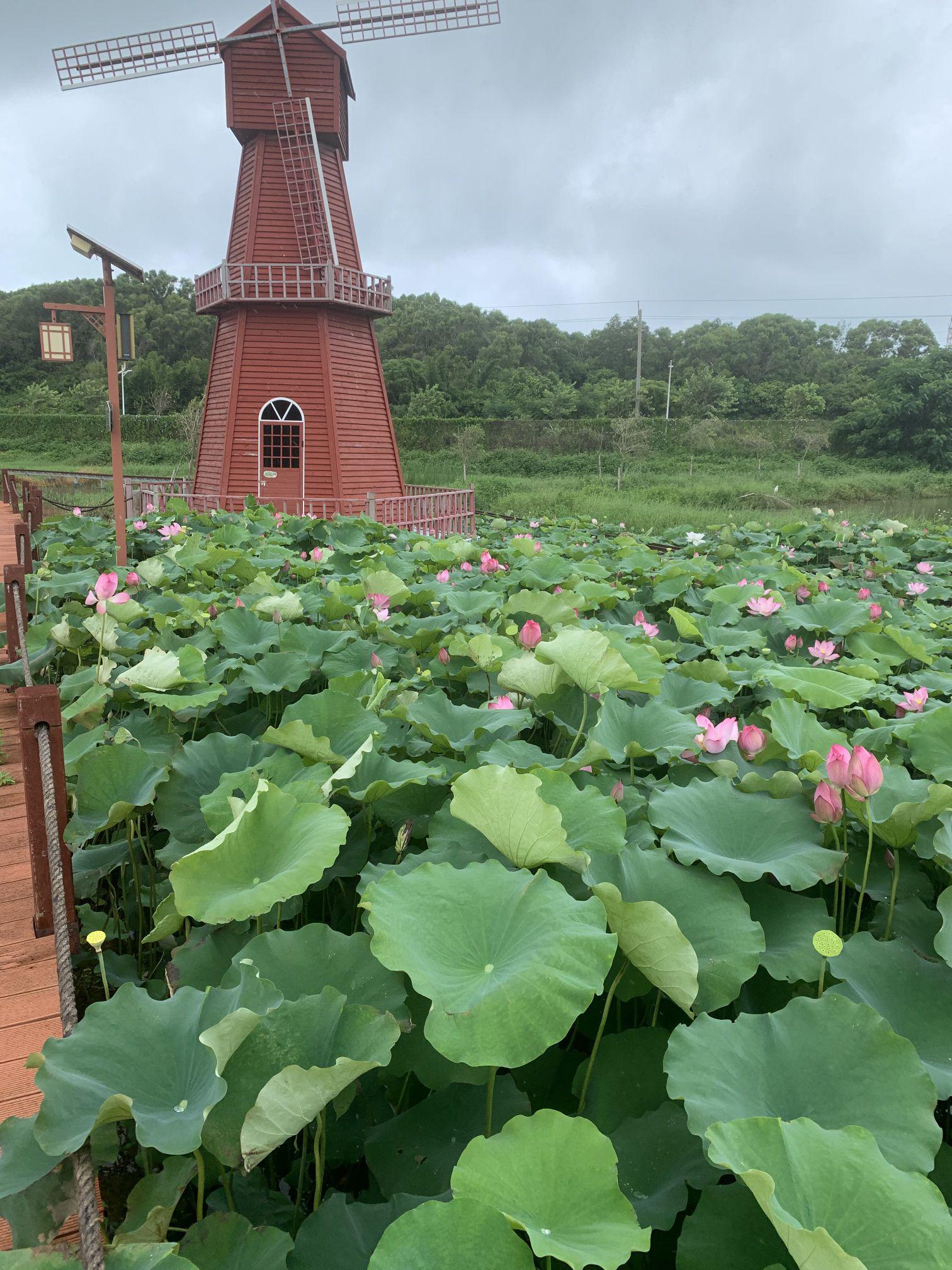 揭阳有什么景点值得玩的呢一日游 刚结束揭阳一日游,发现这座城市的