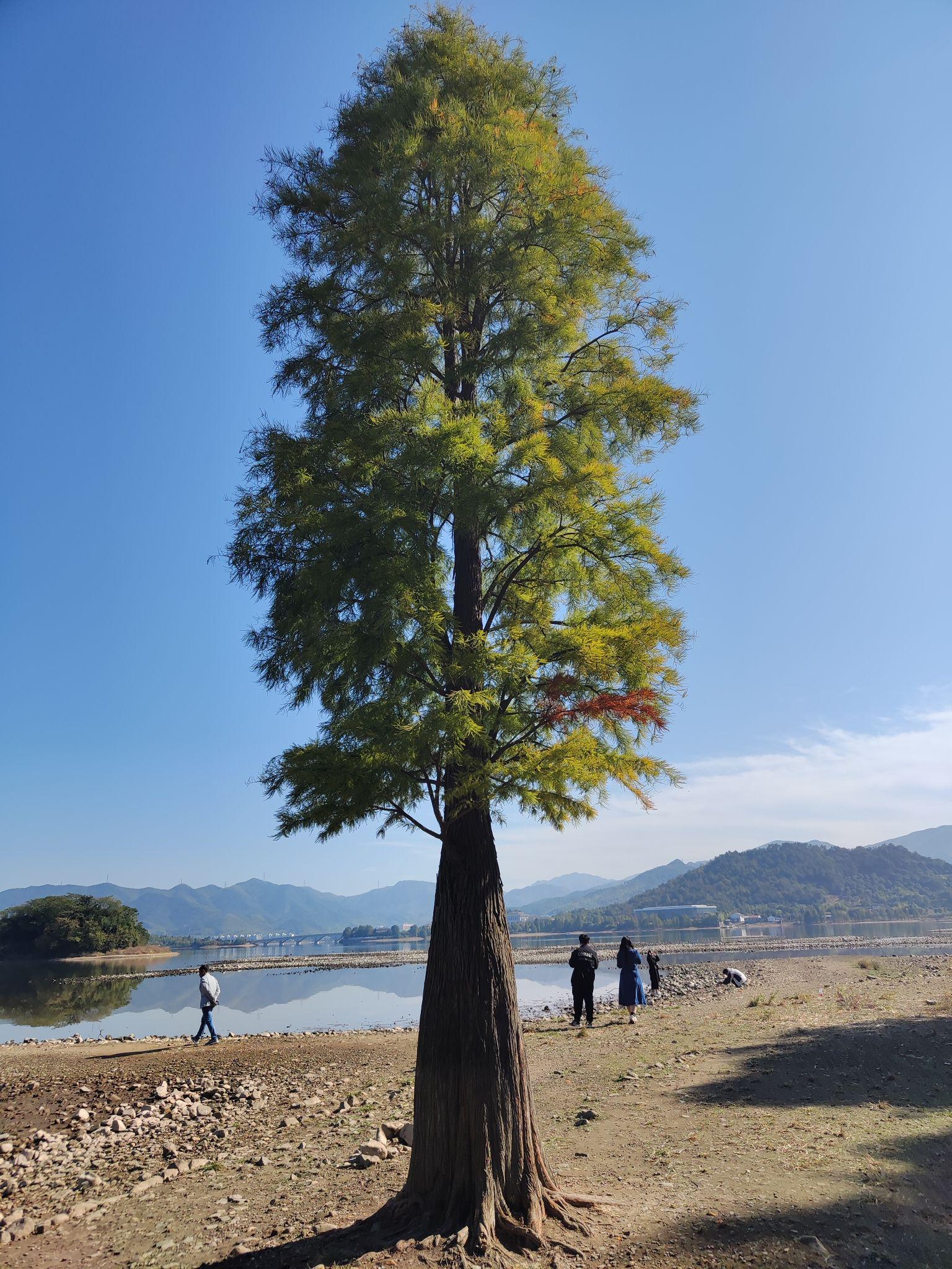 宁波附近旅游景点图片