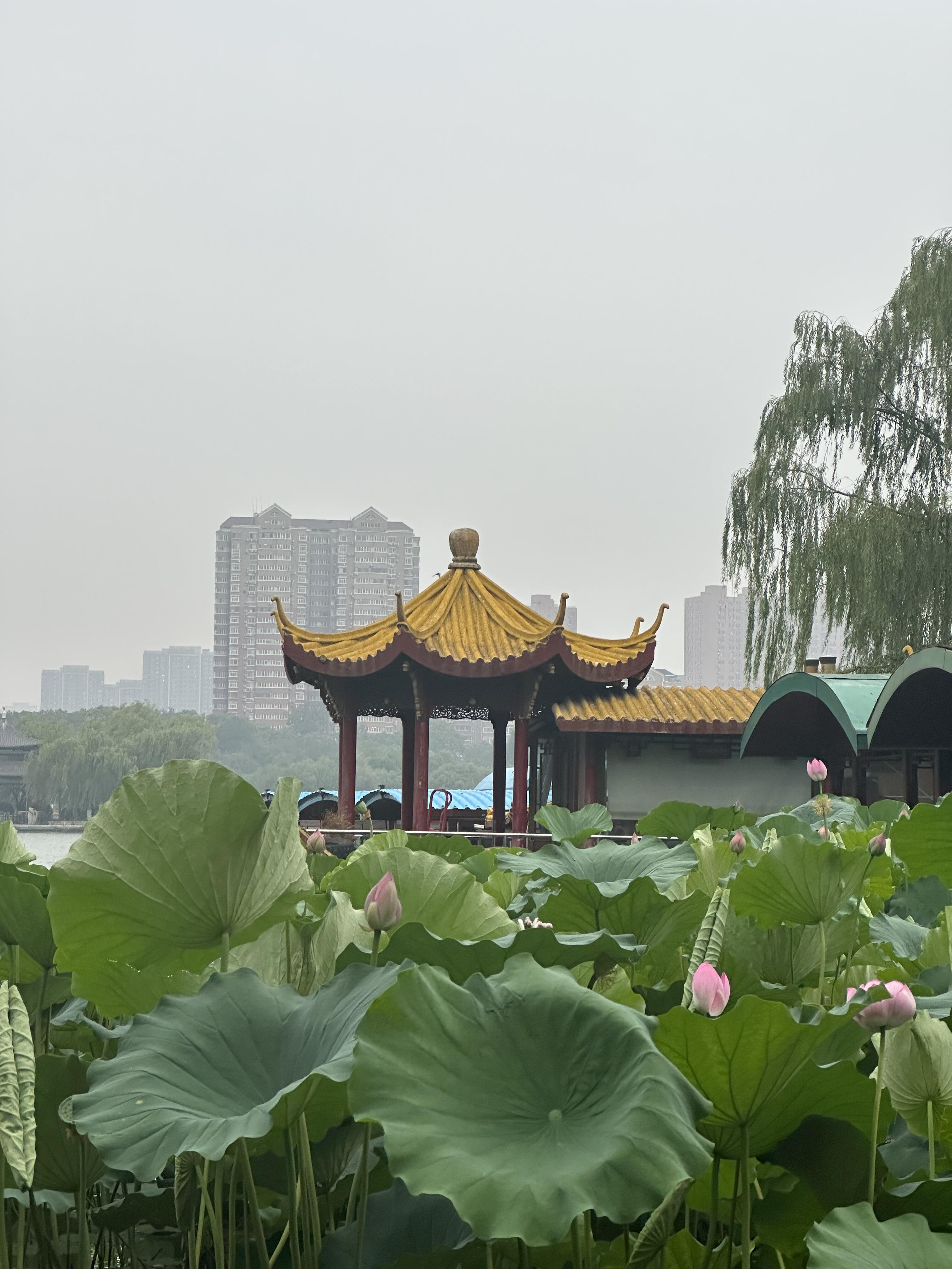 济南东边旅游景点图片