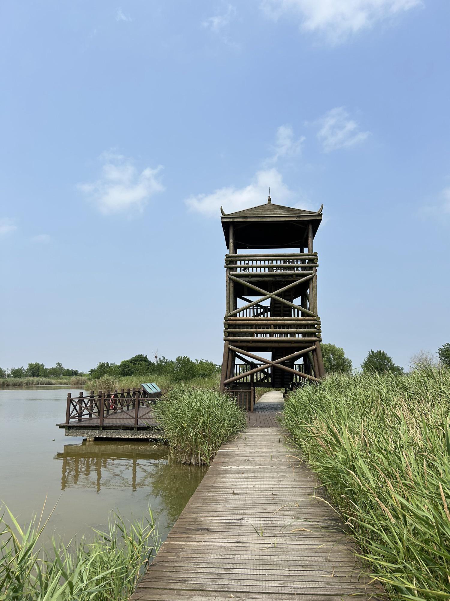 盐城5A景区图片