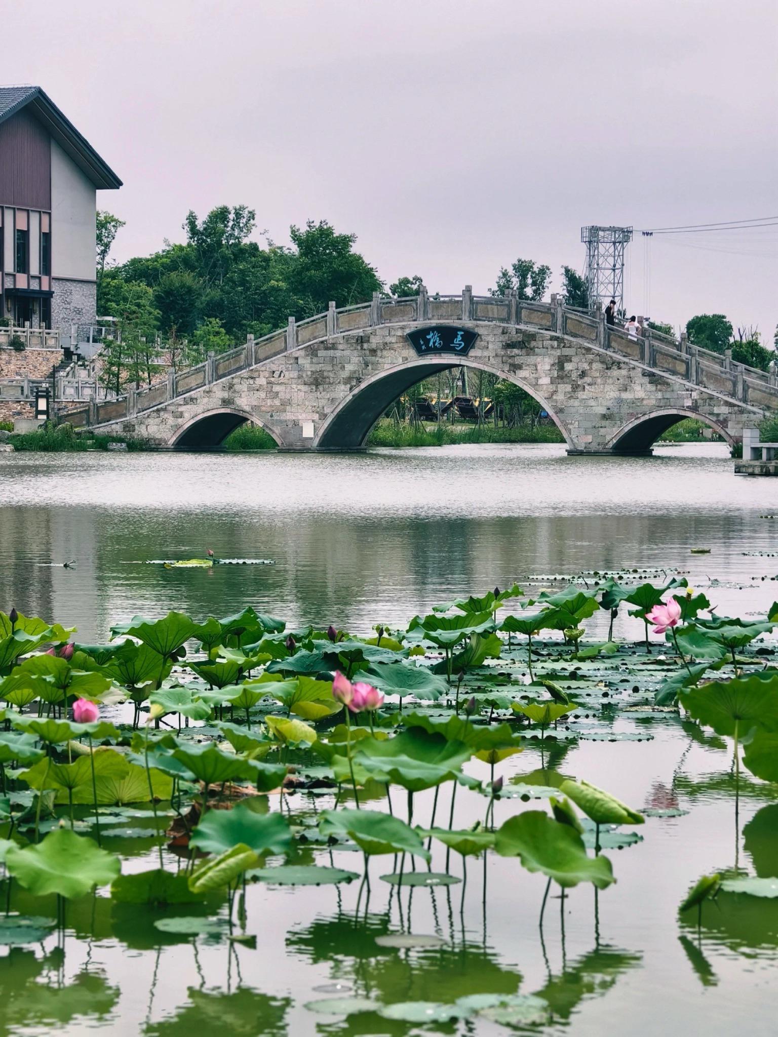 合肥旅游景点一日游图片