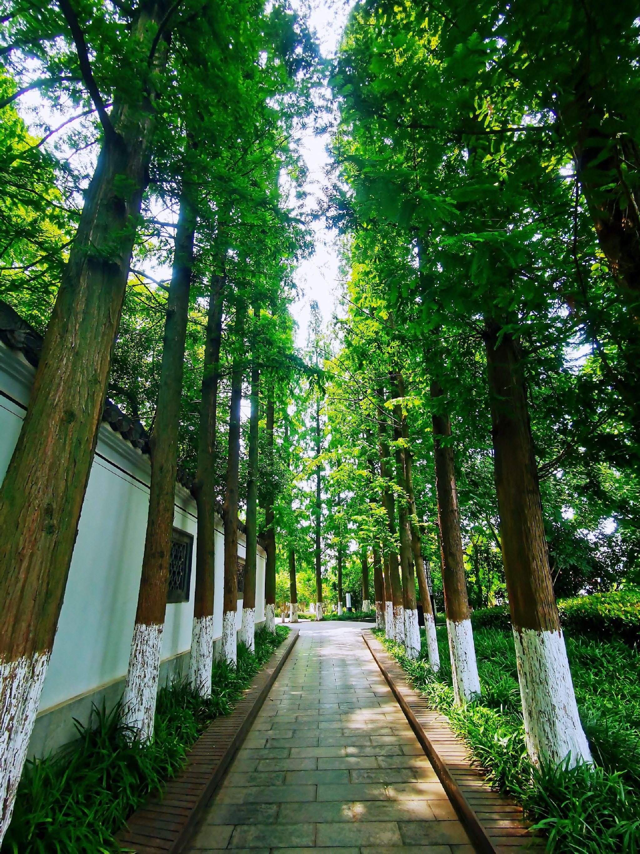 马鞍山附近自驾游景点图片