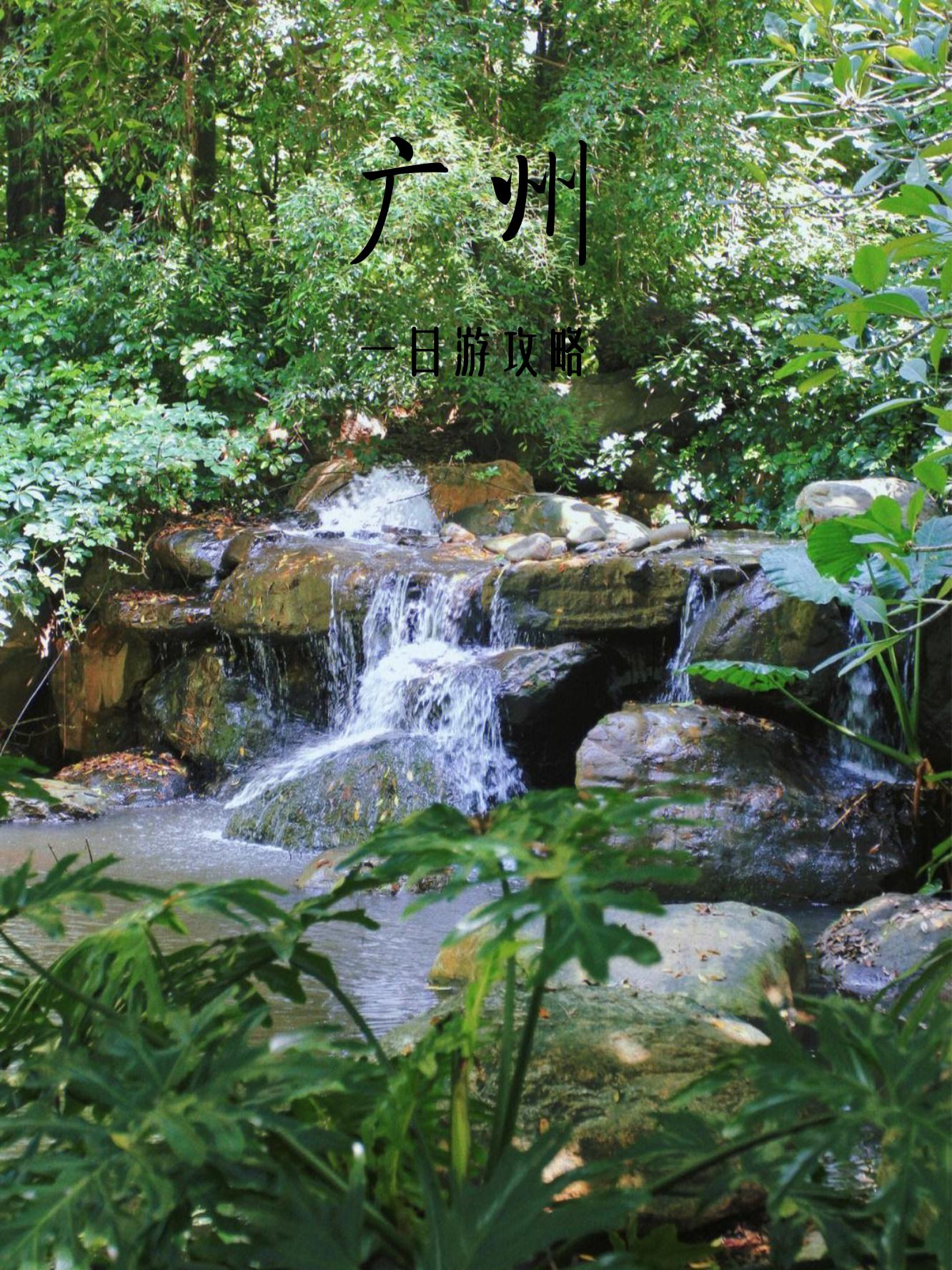 广东旅游去哪里比较好(广东旅游去哪里比较好玩)