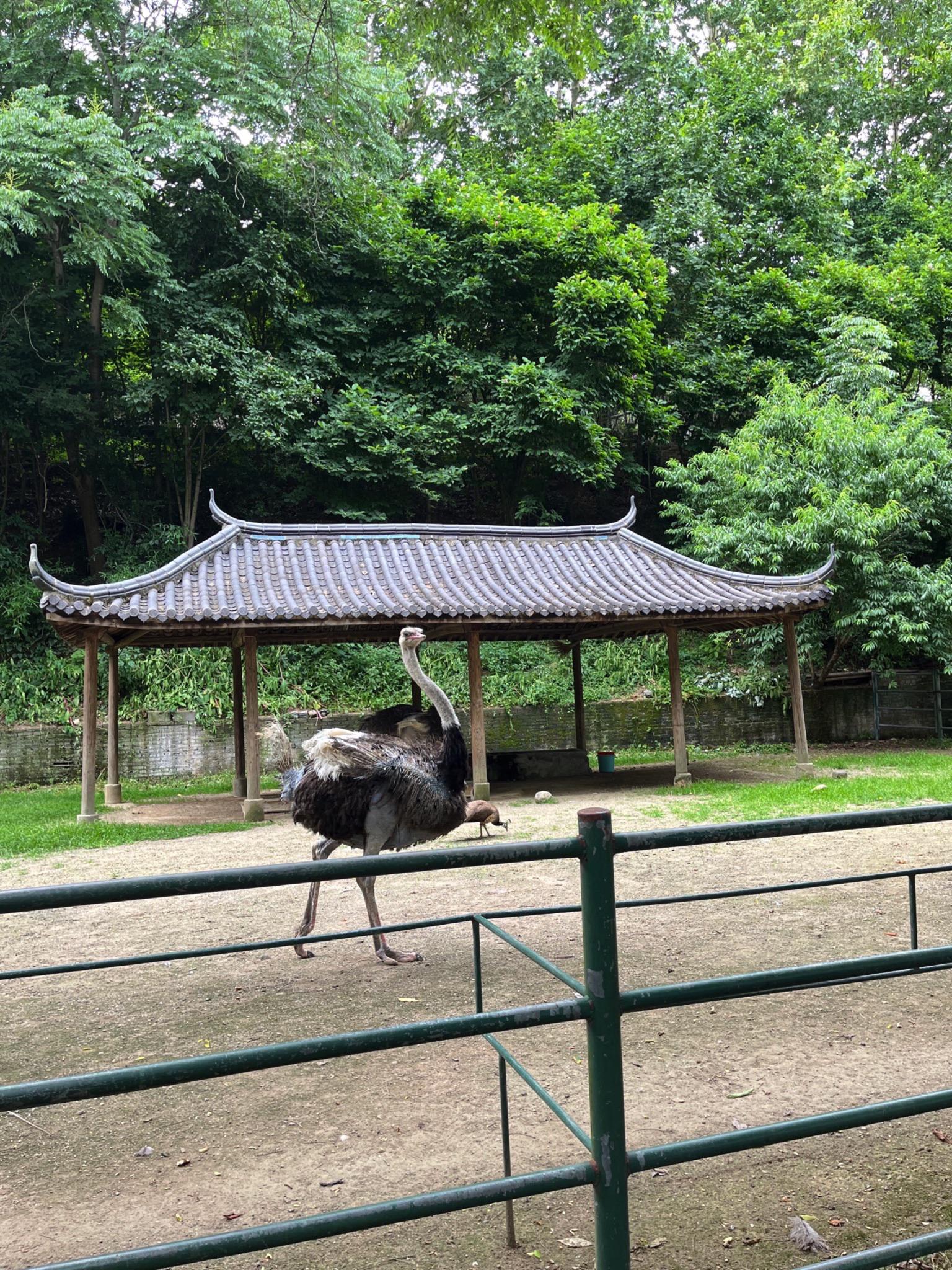 湖州一日游最佳路线安排