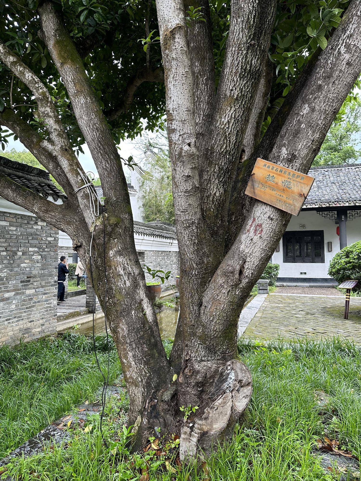 永州一日游最佳景点图片