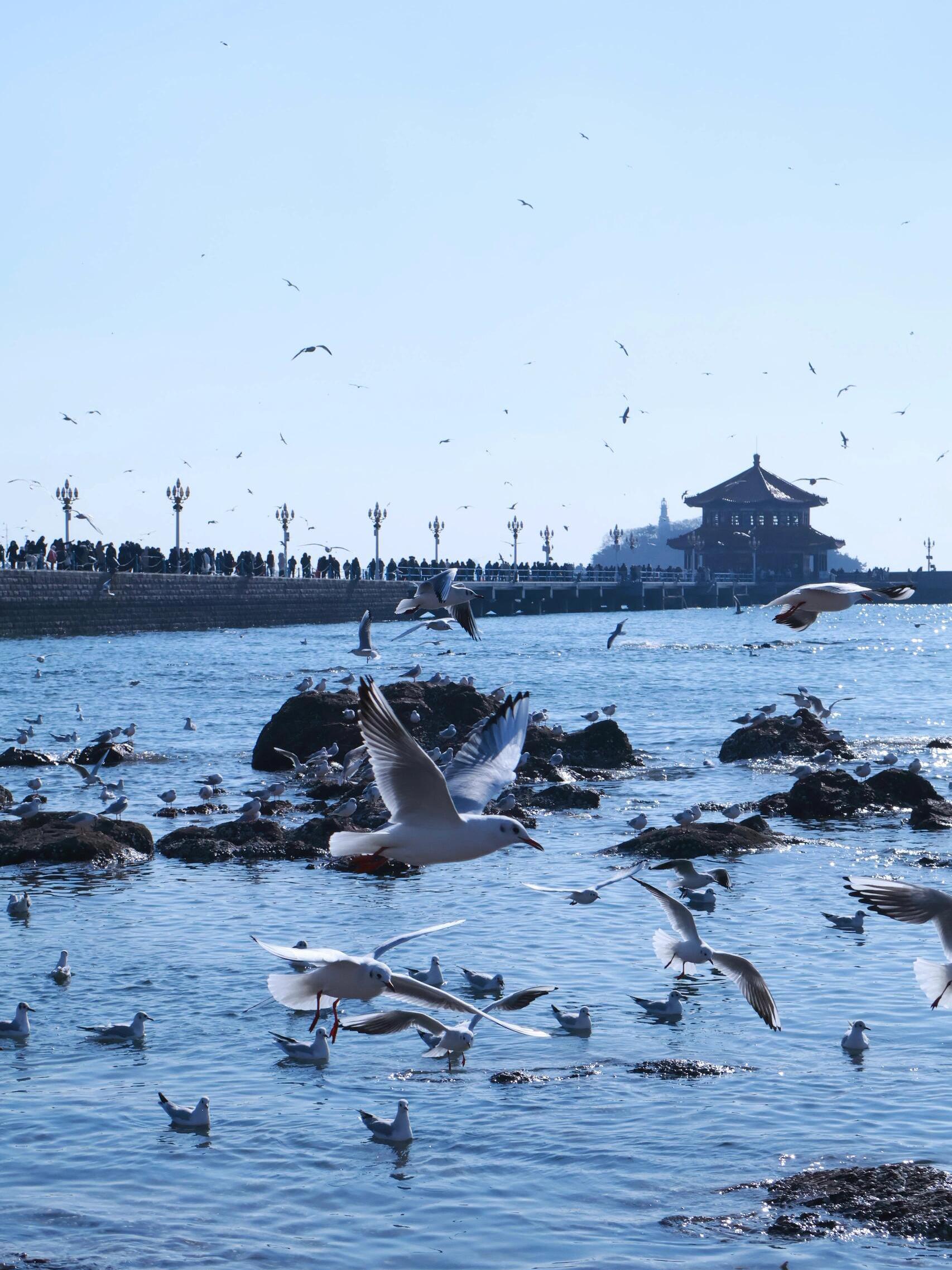 青岛一日游必去的景点图片