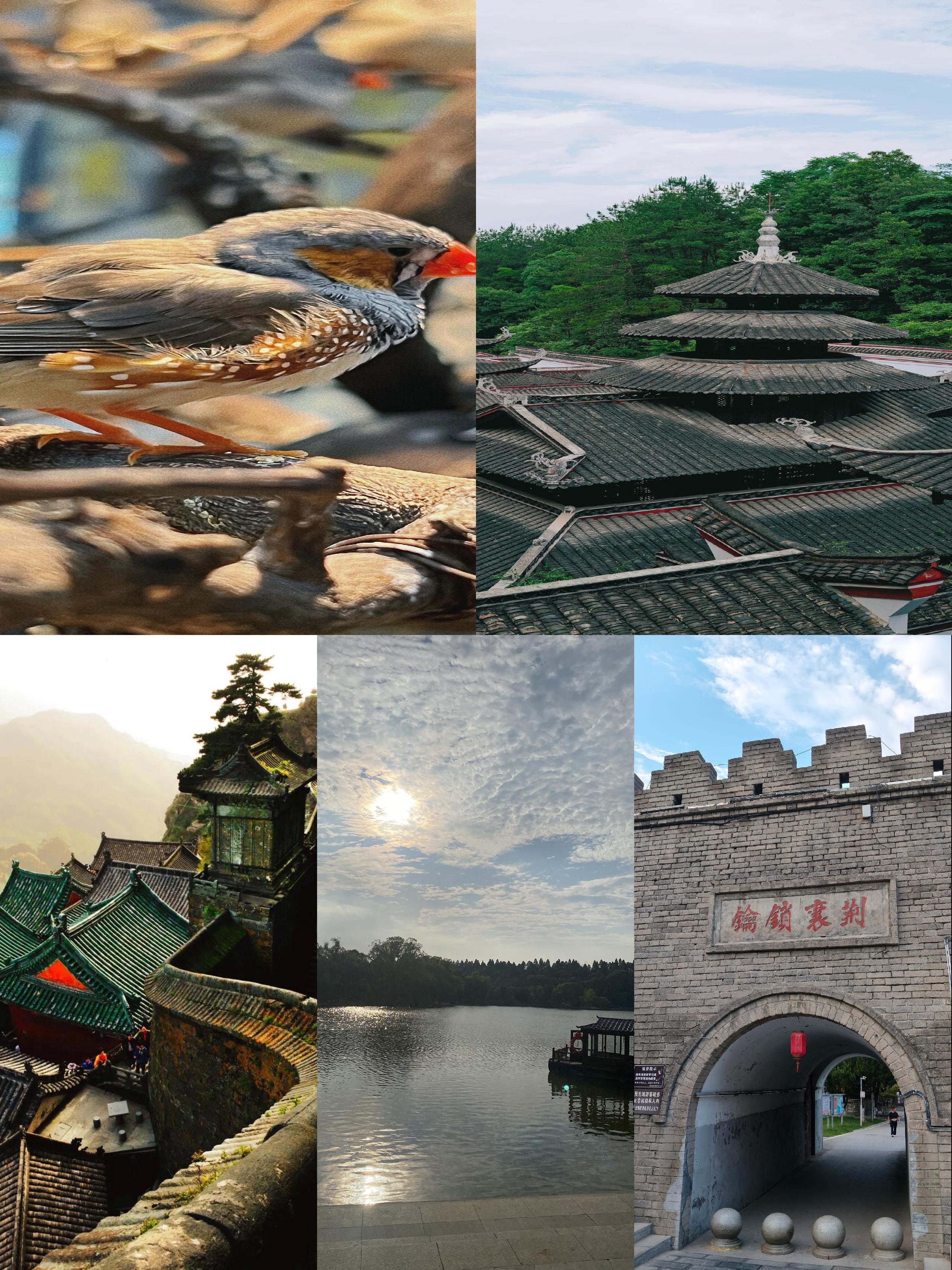 湖北适合七八十岁老人旅游的地方(湖北适合七八十岁老人旅游的地方有哪些)