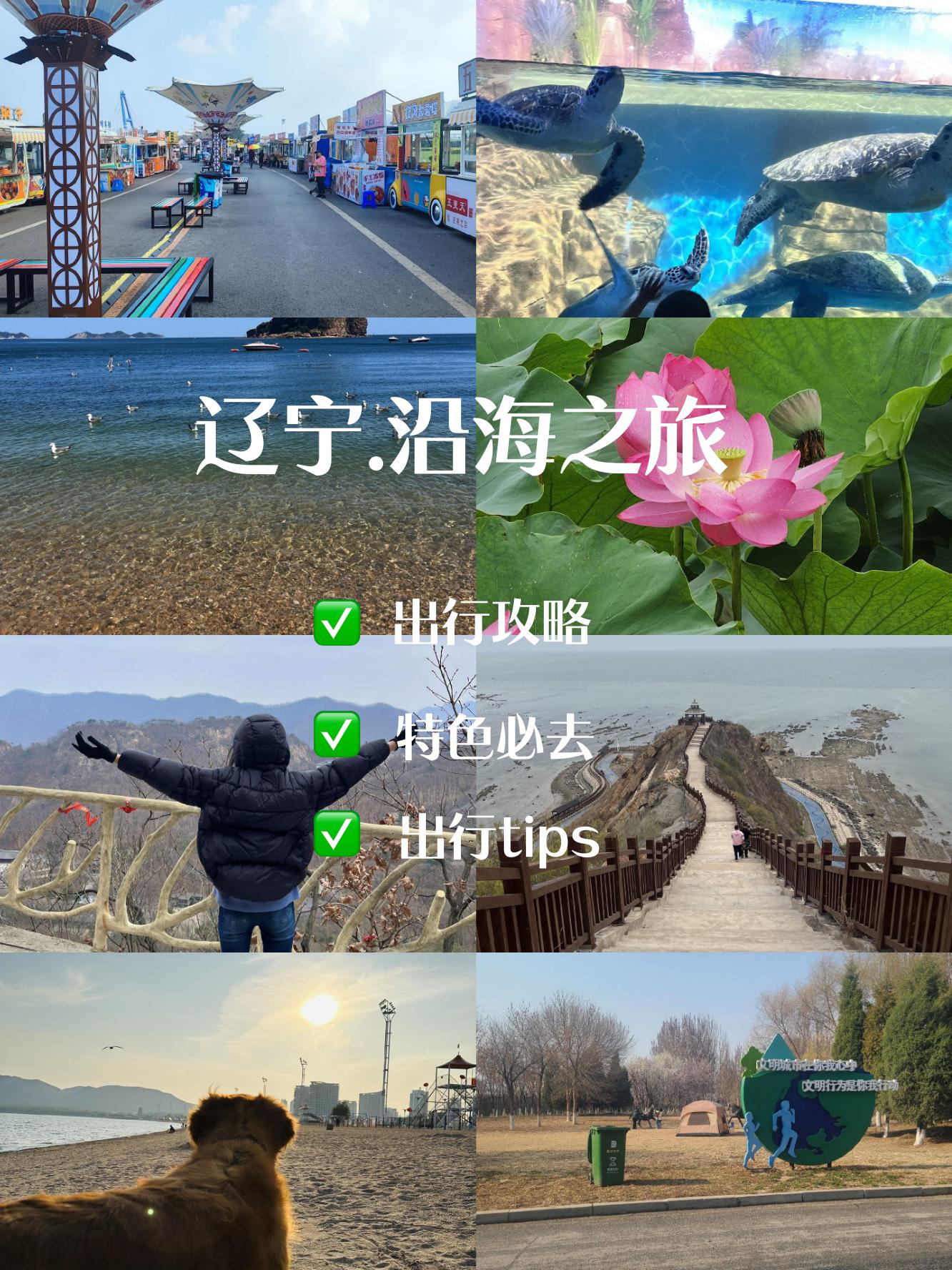 适合七八十岁老人旅游的地方自驾辽宁出发的简单介绍