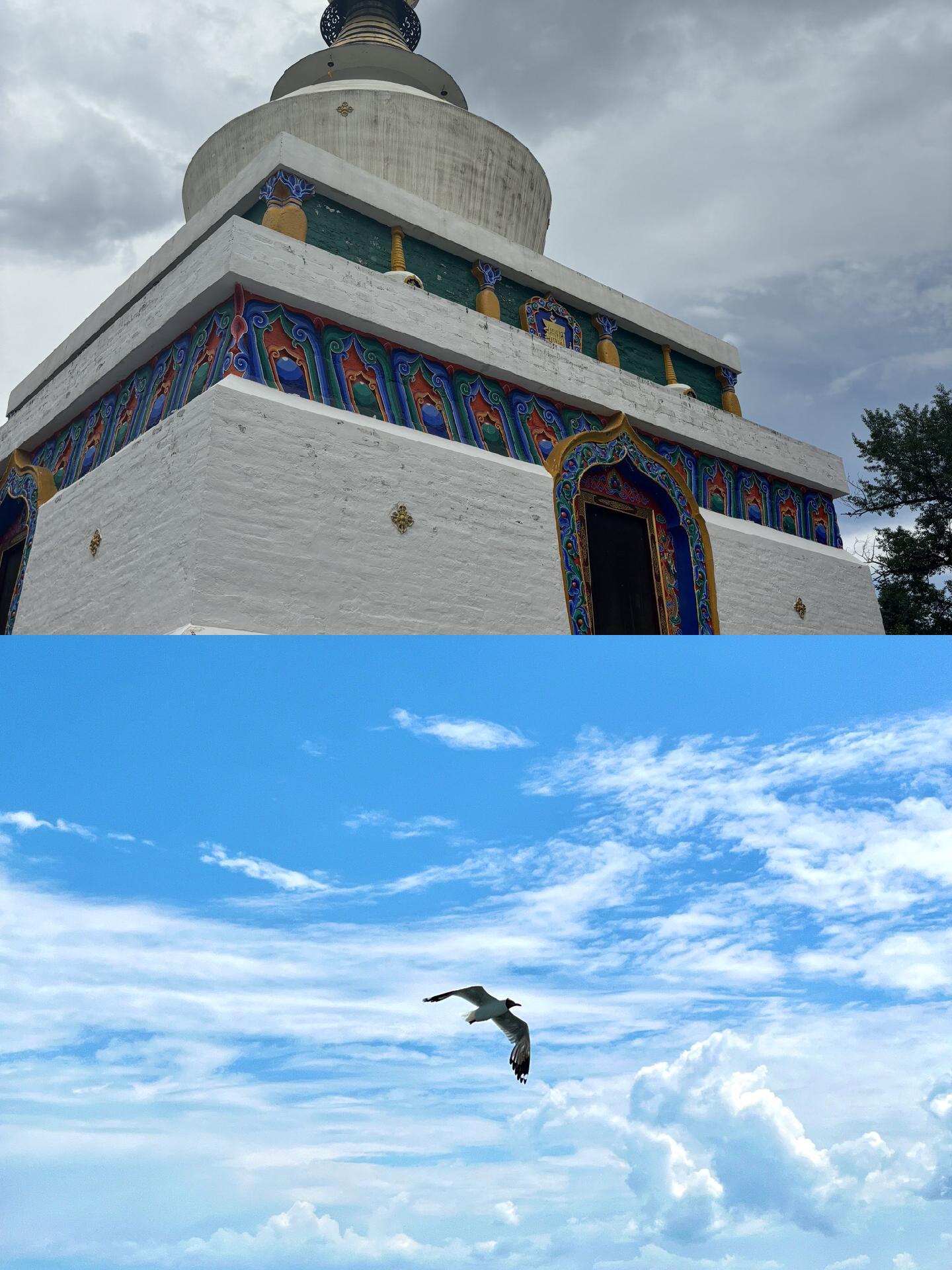 「可可西里一日游玩攻略」✅ 可可西里的旅游景点