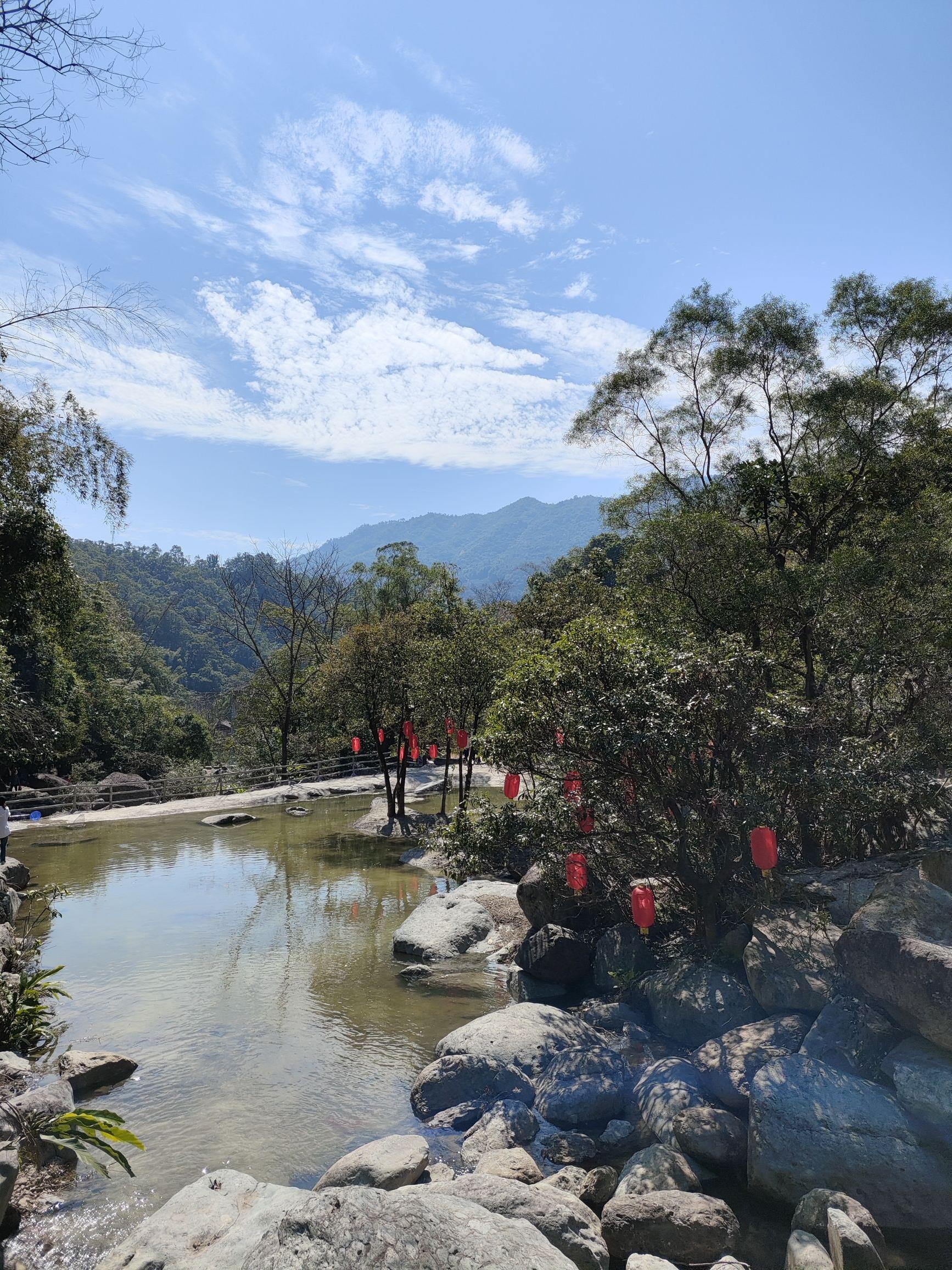 揭阳风铃木景点在哪图片