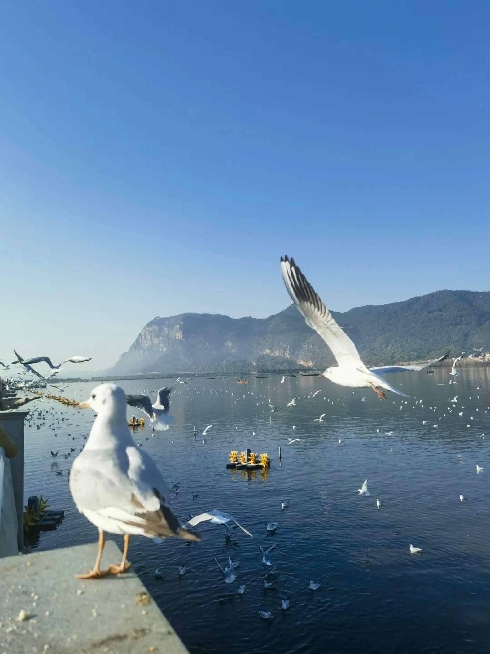 📍昆明2日游超全路线‼️附新手攻略❗️