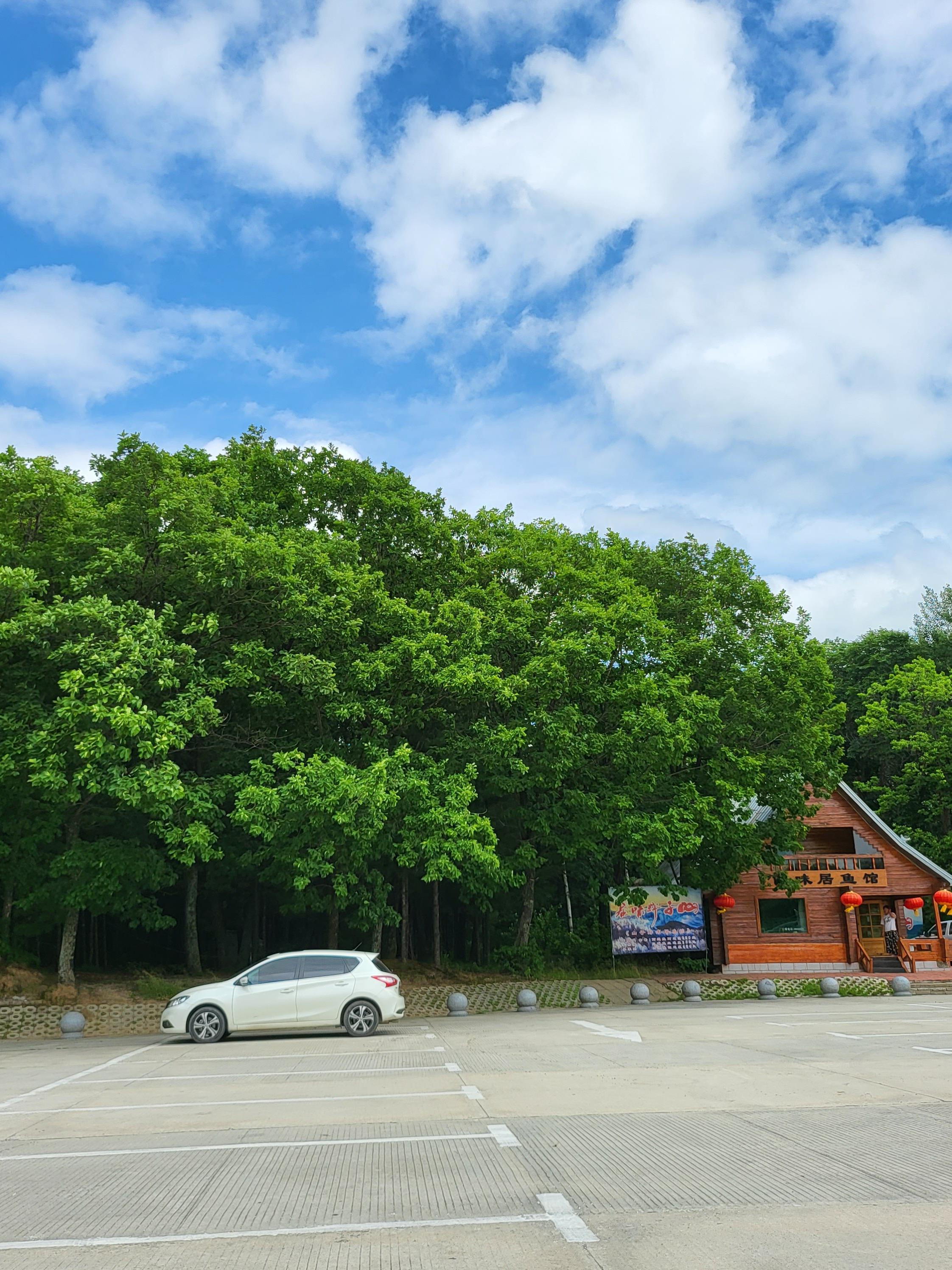 鸡西旅店带人图片