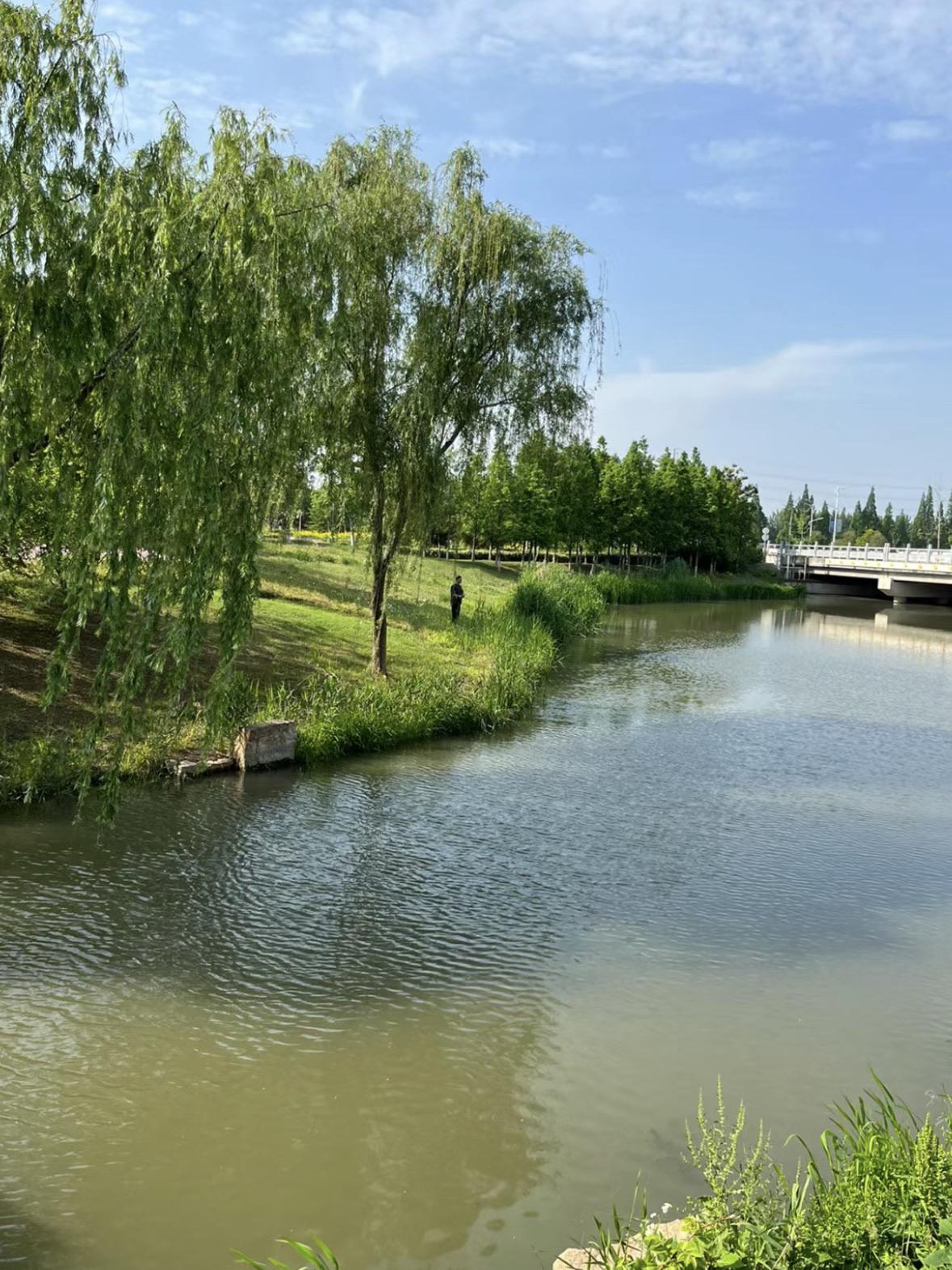 泰州市郊野公园图片