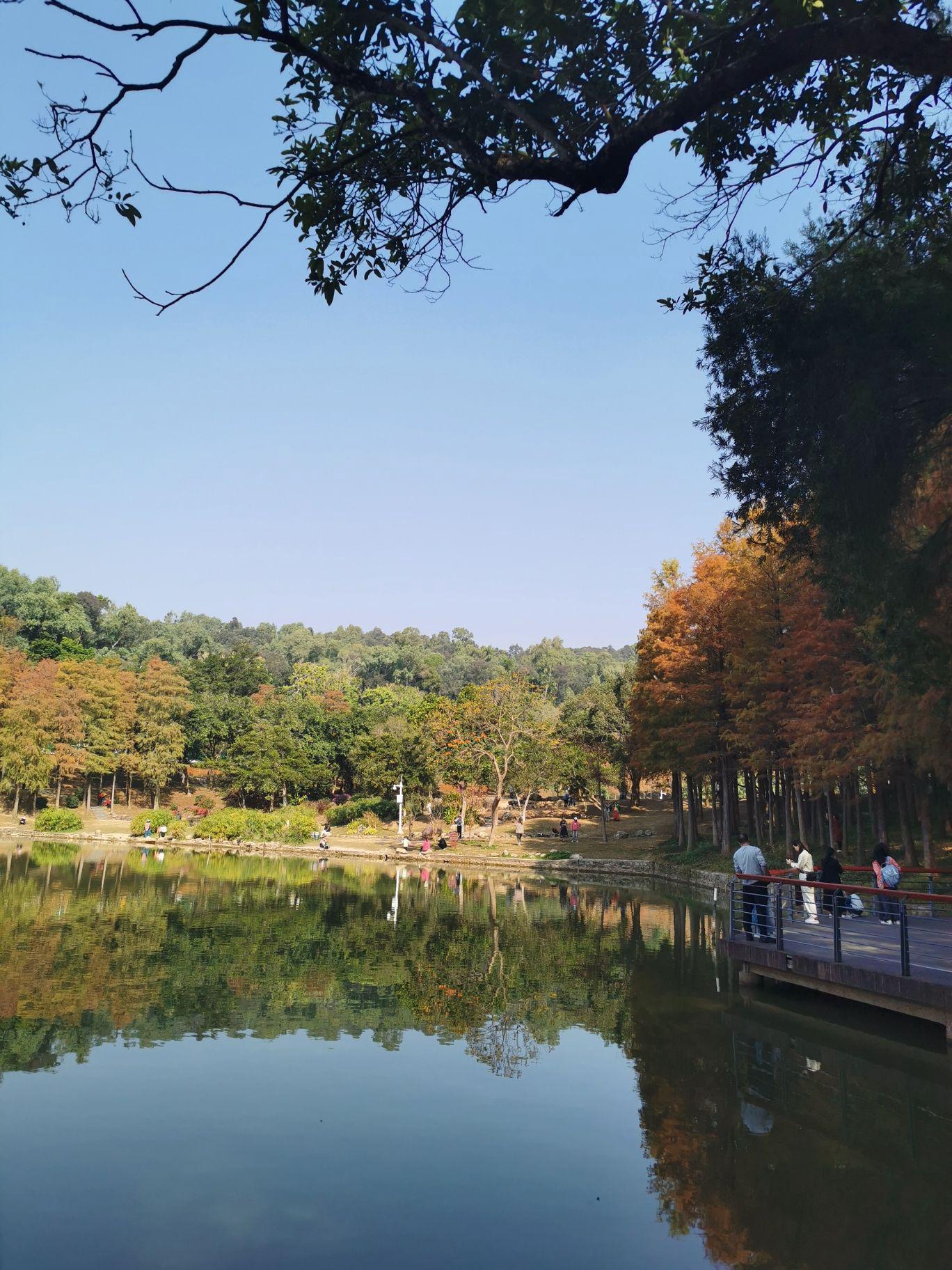 中山十大美景图片