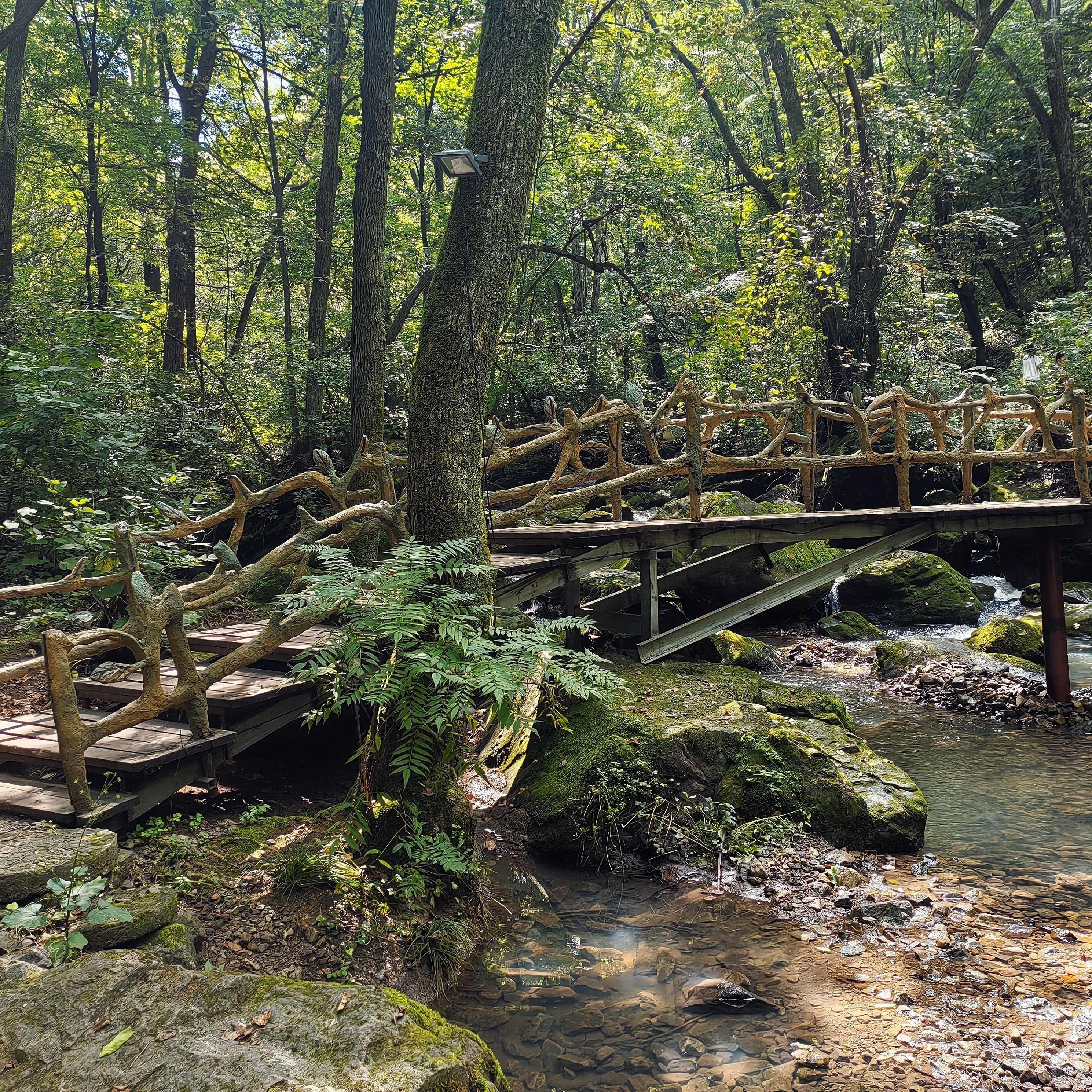 香炉山:自然与历史的完美邂逅