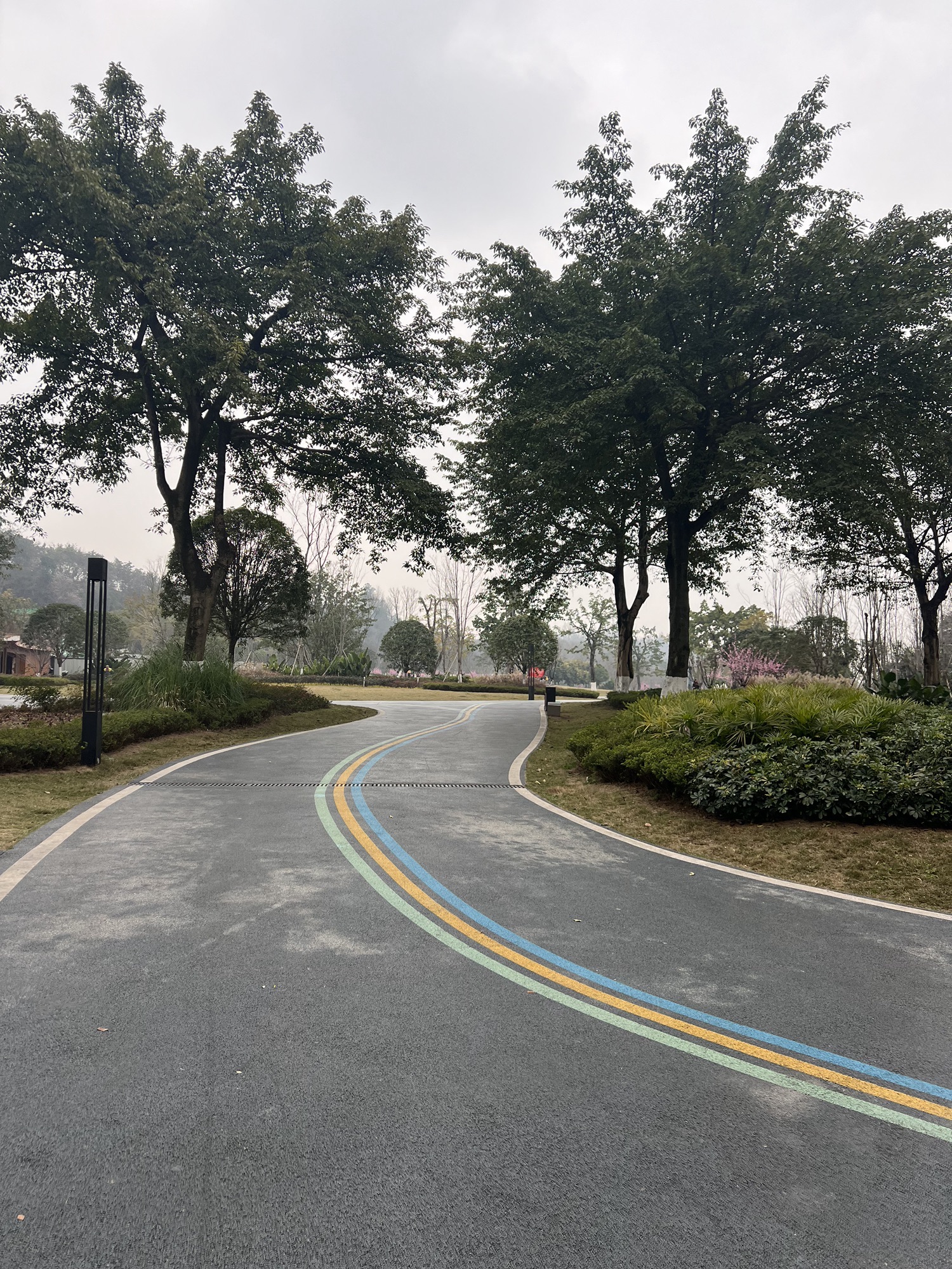 金渝郊野公园,免费自然氧吧