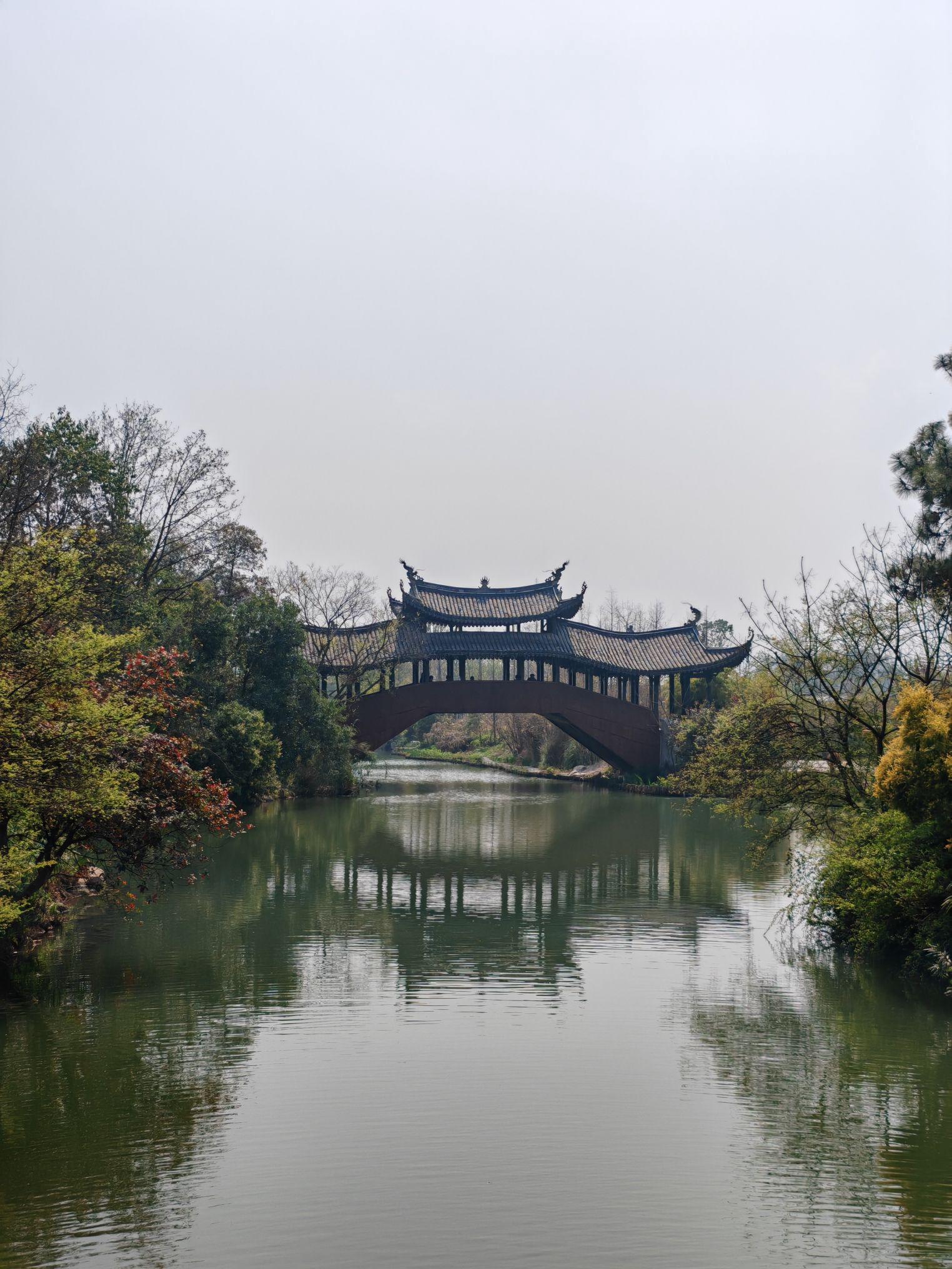 温州三垟湿地游记图片