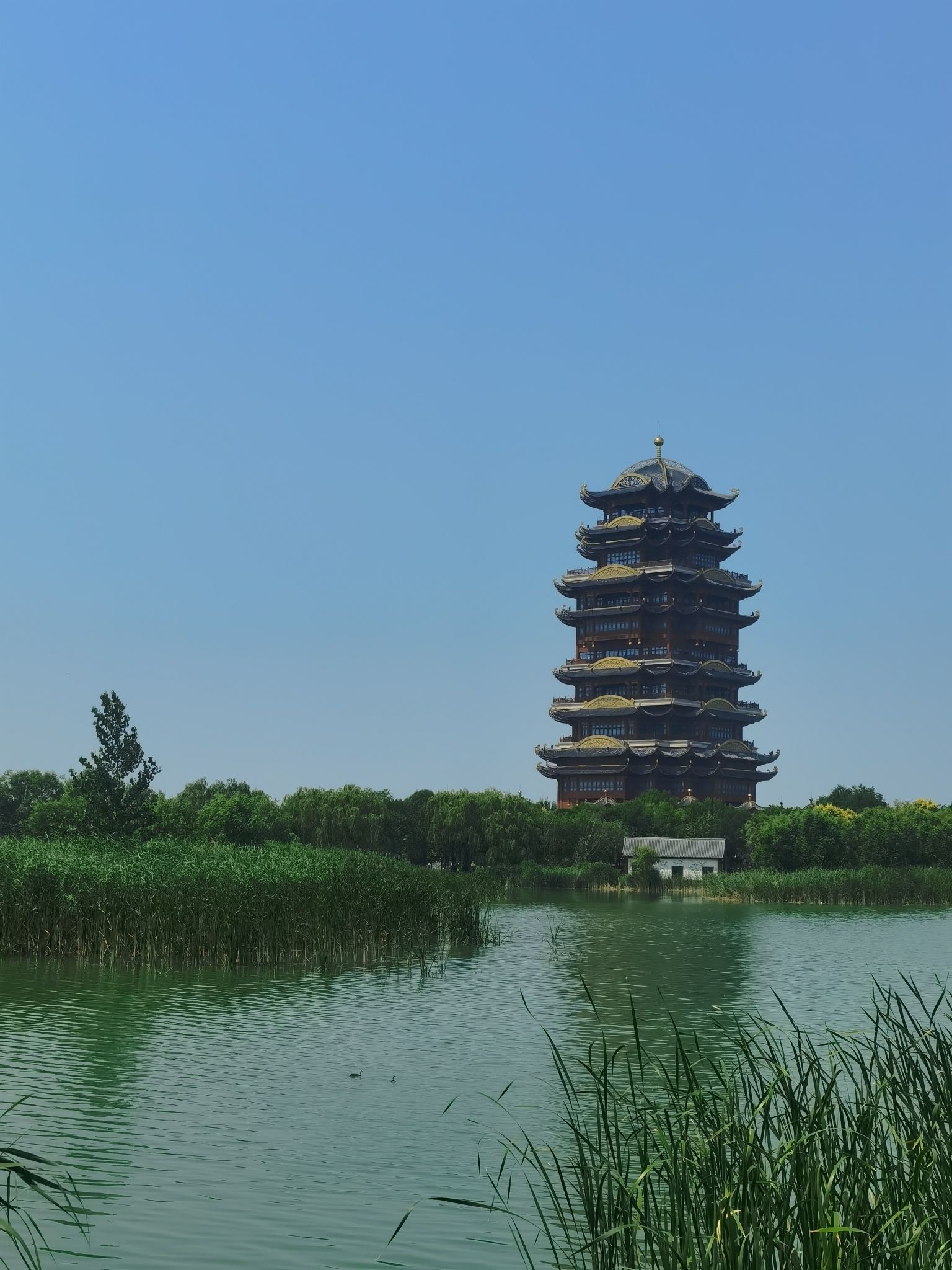 滨州6大必去景点齐了❗