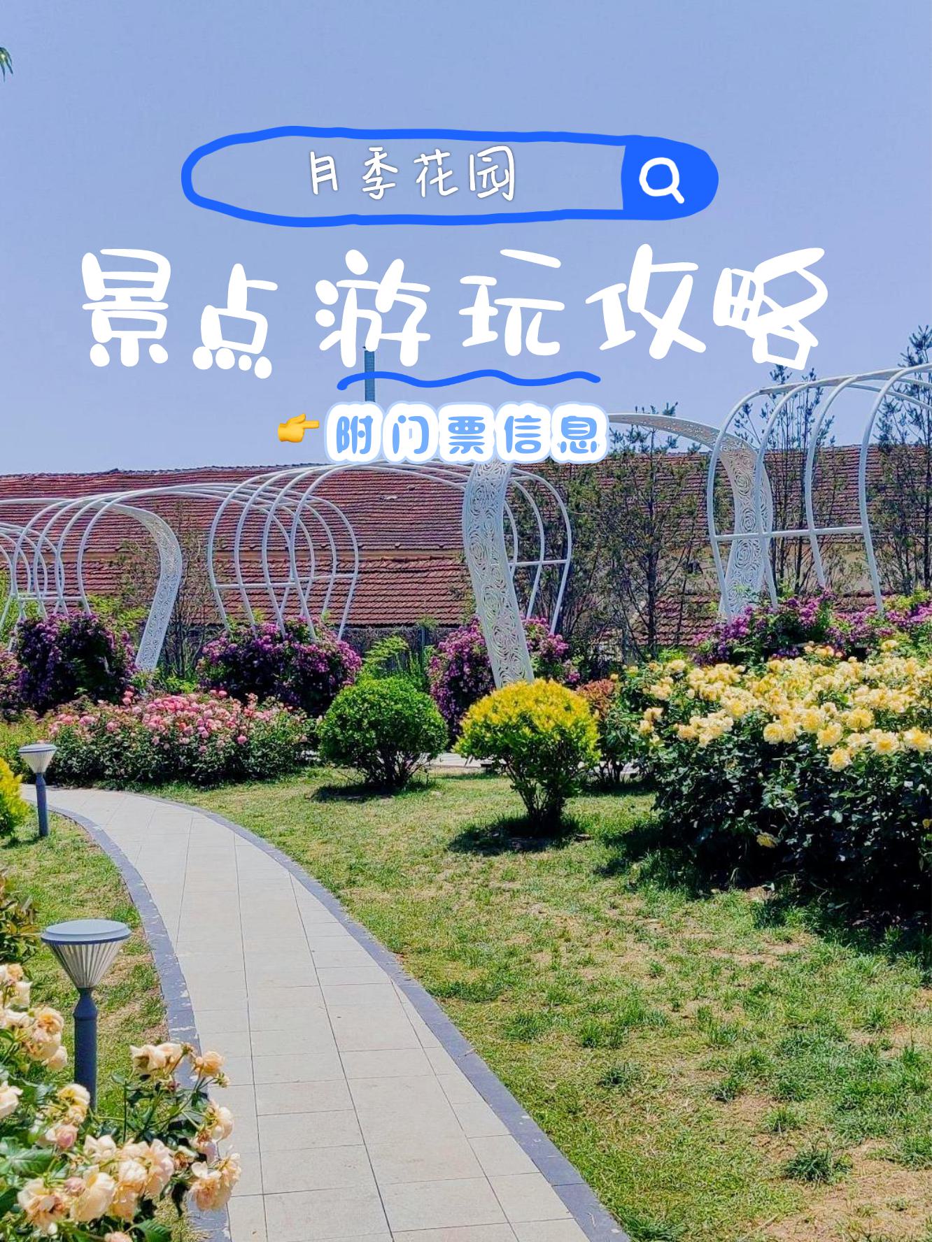 崇州月季花园门票图片