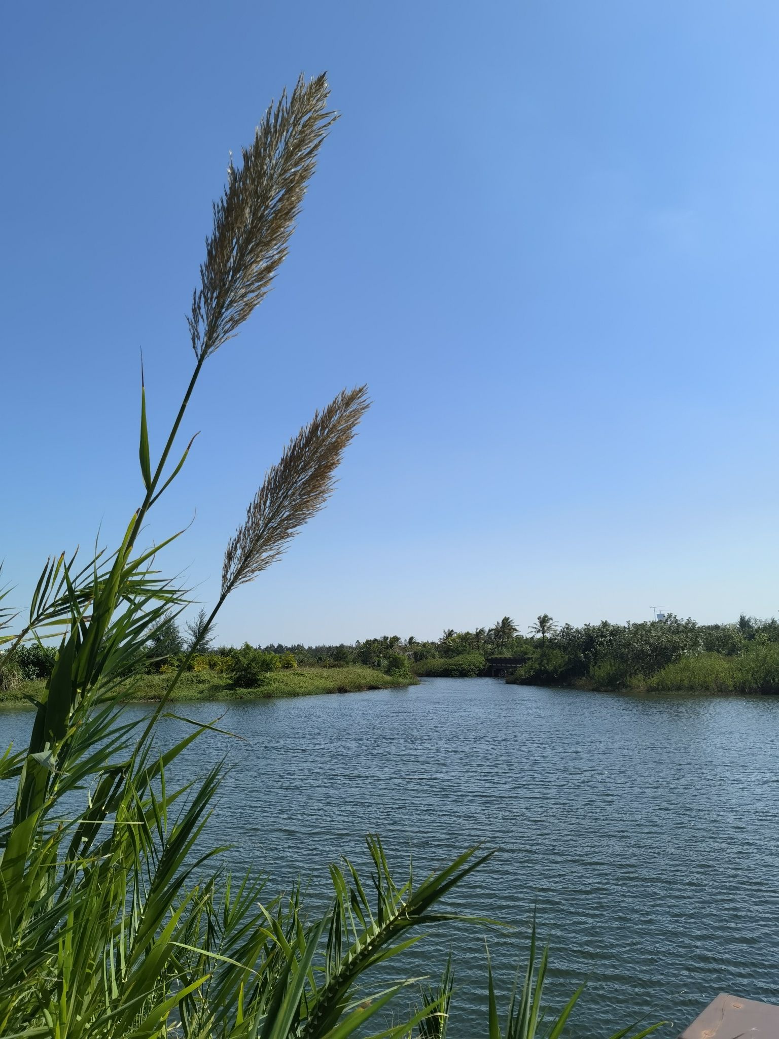 海口滨海湿地公园游玩攻略
