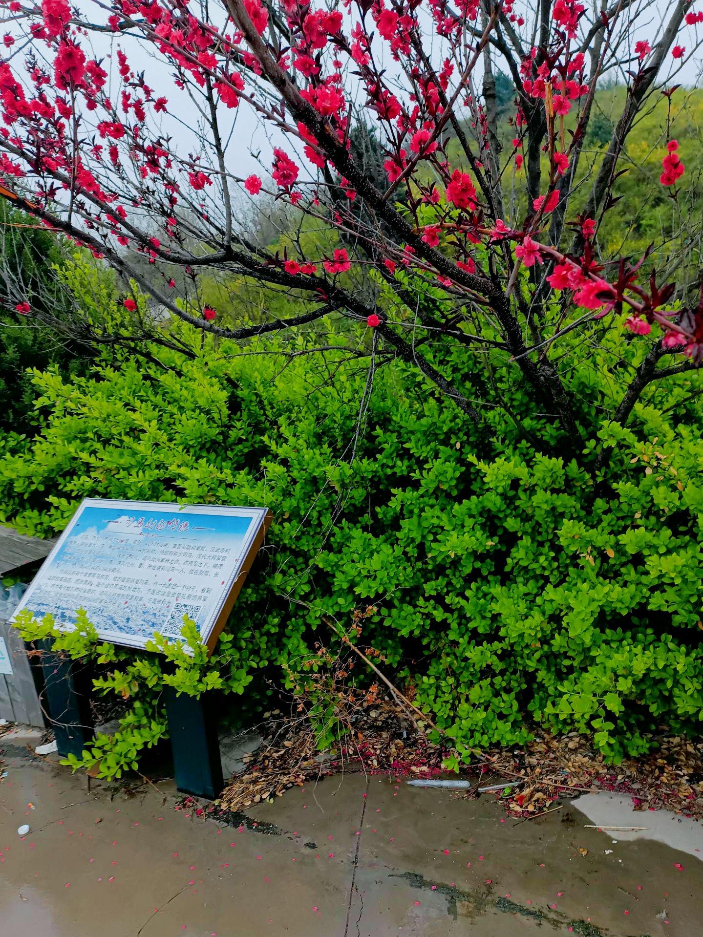 安泽黄花岭风景区攻略图片