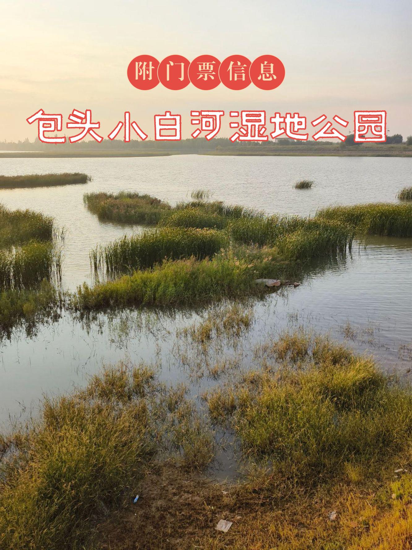 黄河湿地公园开放通知图片