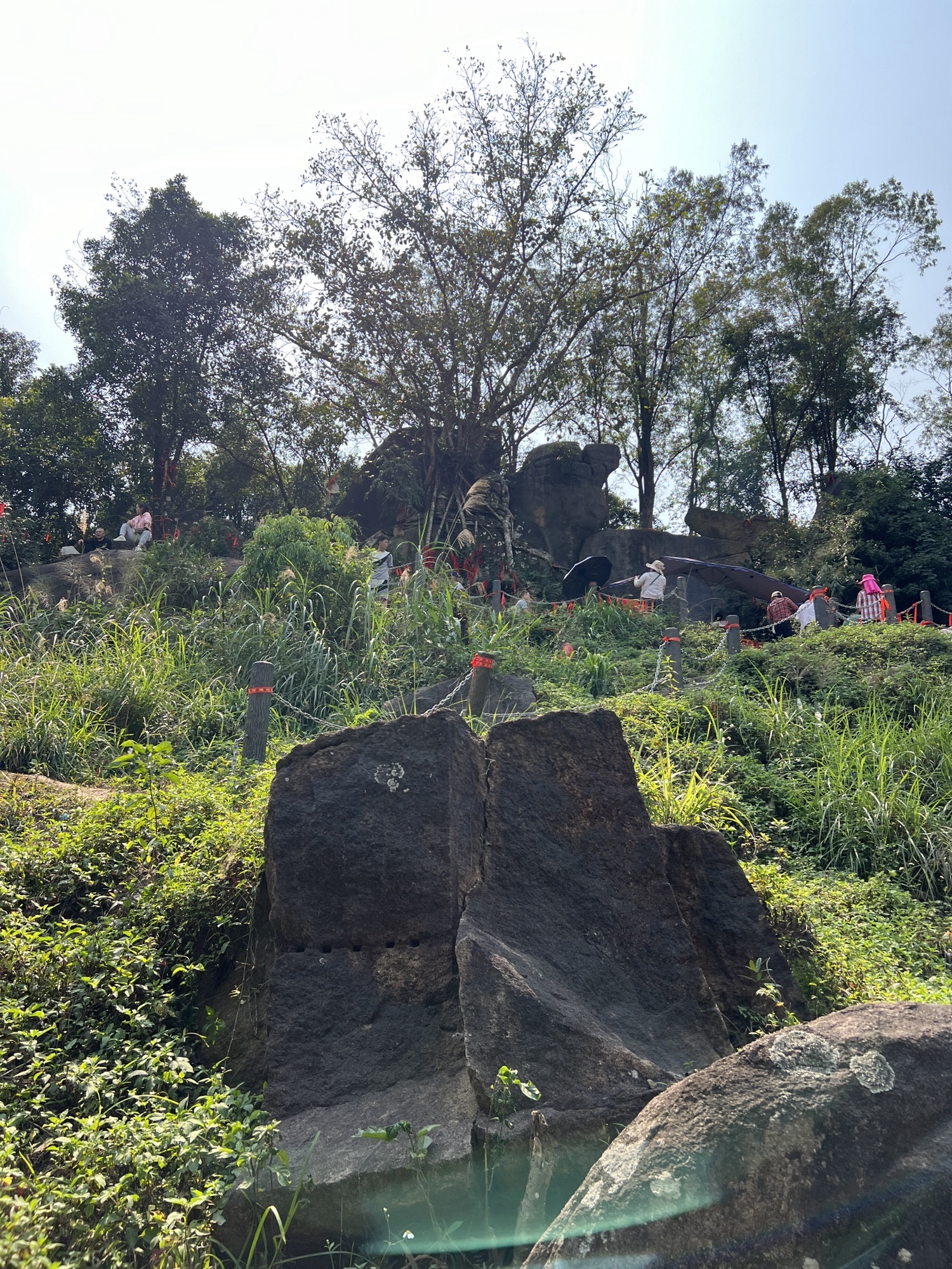 别找了‼️你们要的济公山攻略都在这里👀