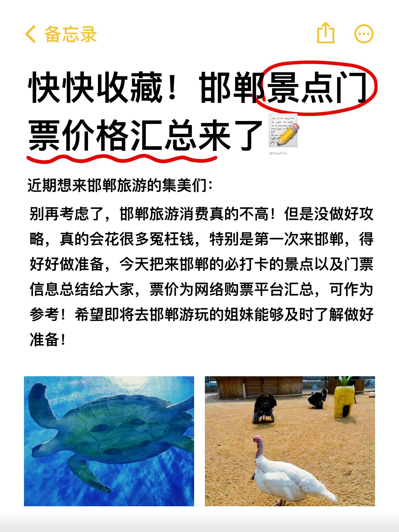 邯郸海洋公园门票图片