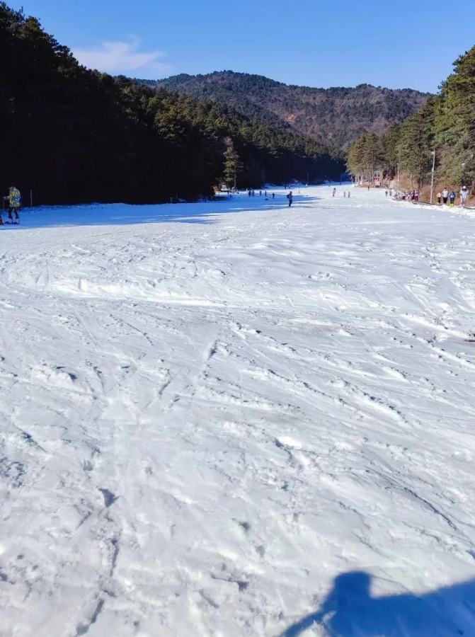 重庆茅草坝滑雪场图片